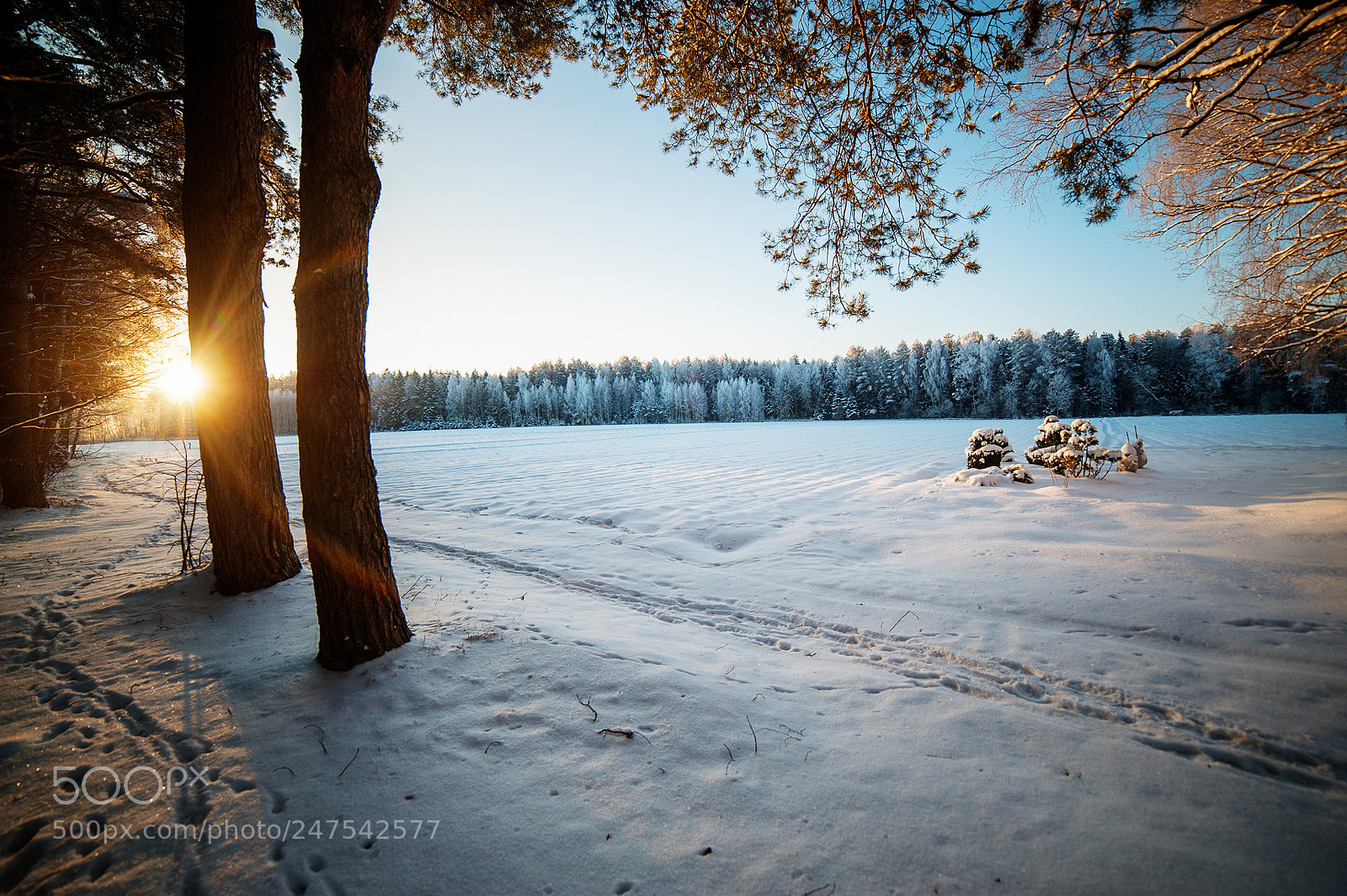 Nikon D3 sample photo. Morning photography
