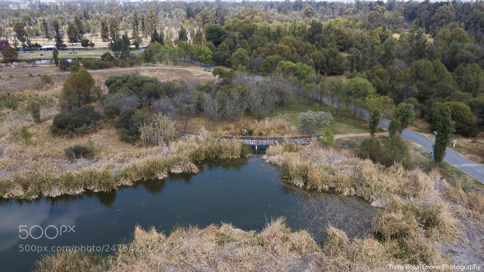 DJI FC220 sample photo. Old wooden bridge in photography
