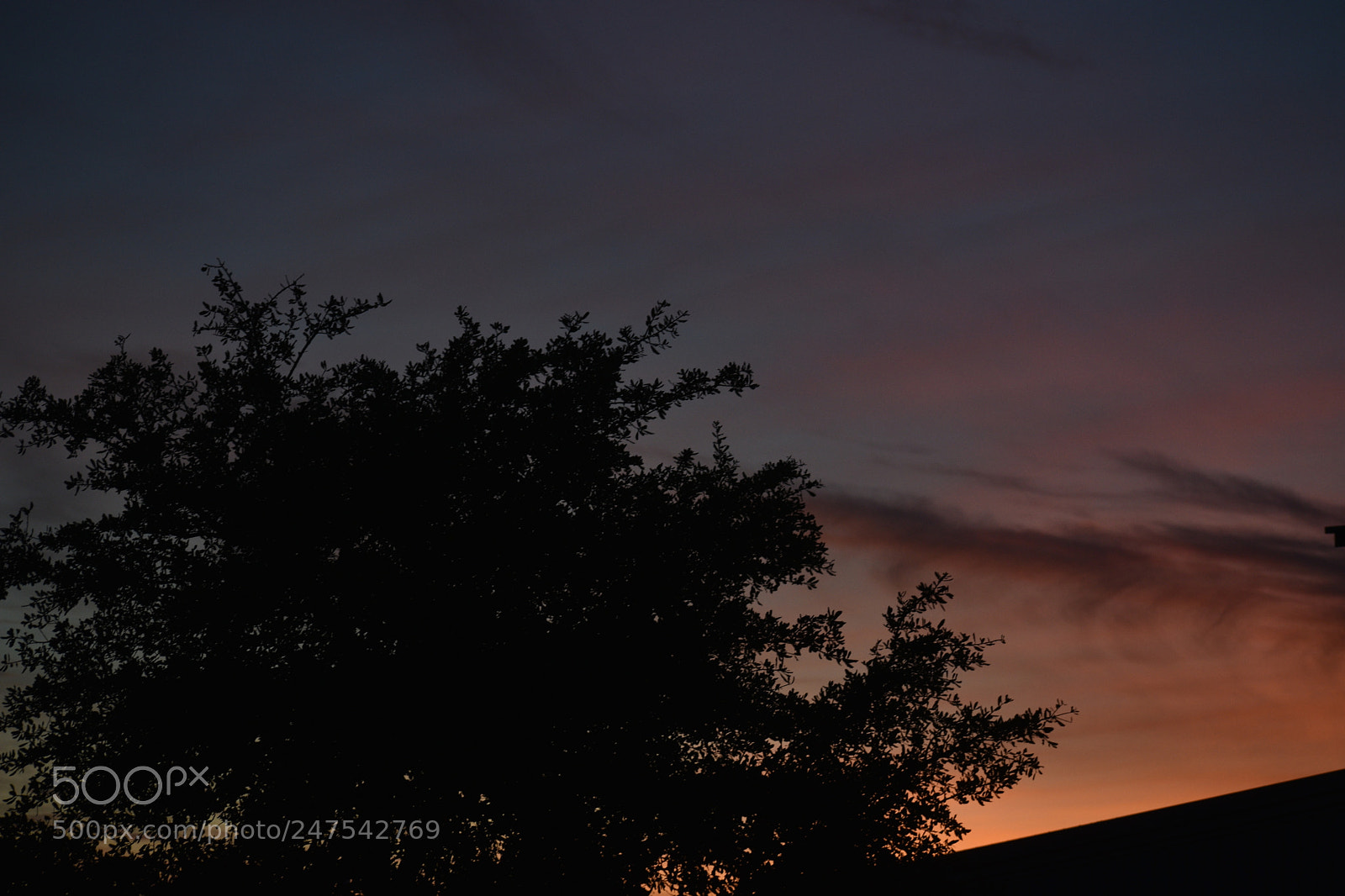 Nikon D3400 sample photo. Sunset photography