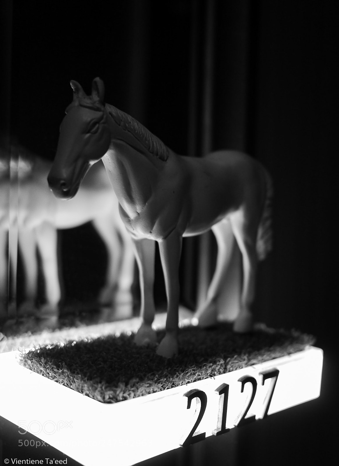 Panasonic Lumix DMC-G5 sample photo. Future horse, 2127 photography