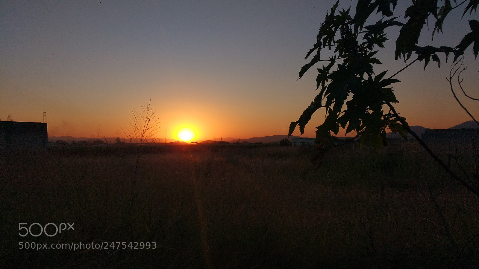 Motorola MotoG3 sample photo. Untitled photography