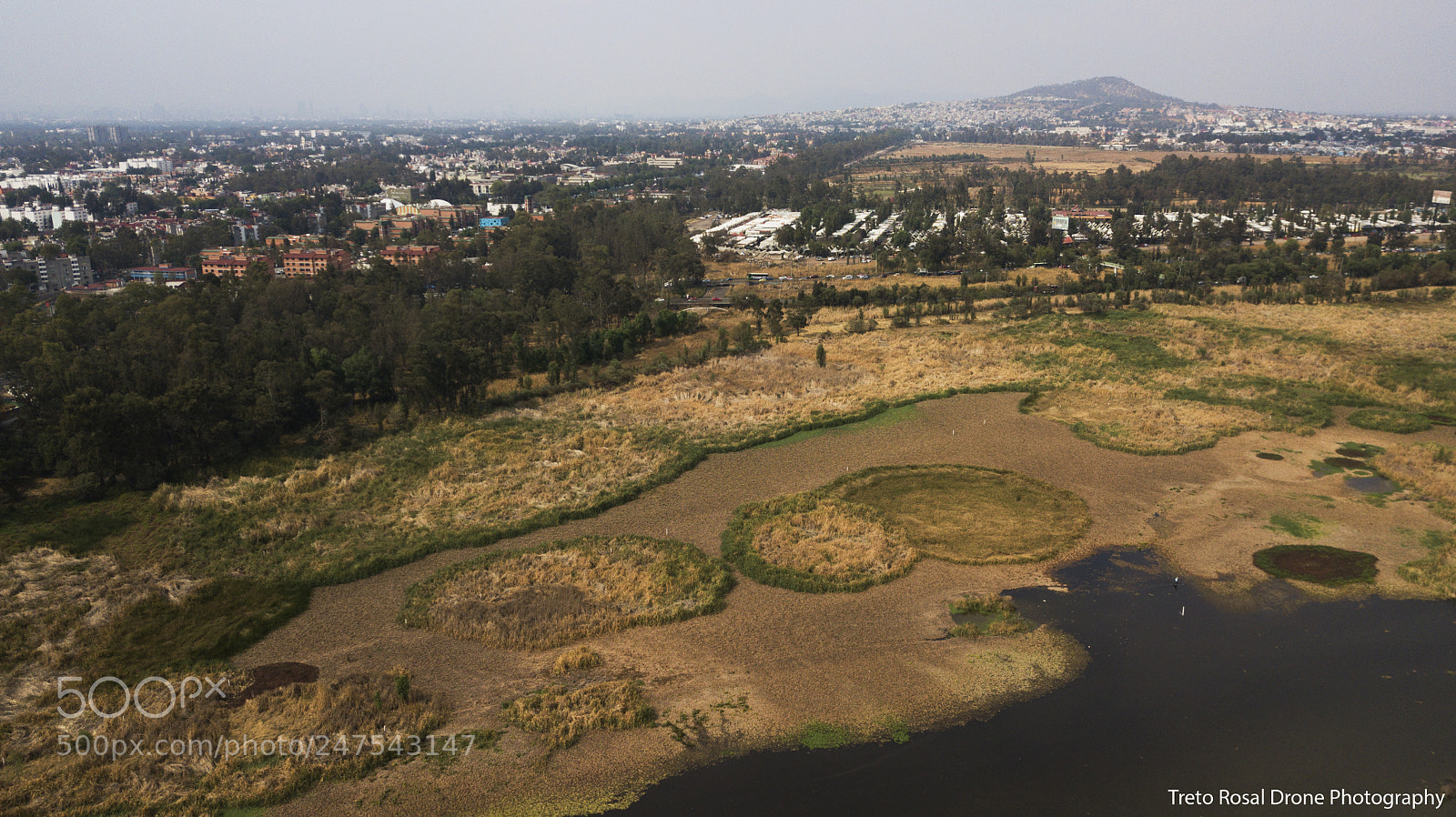 DJI FC220 sample photo. Water plants over the photography
