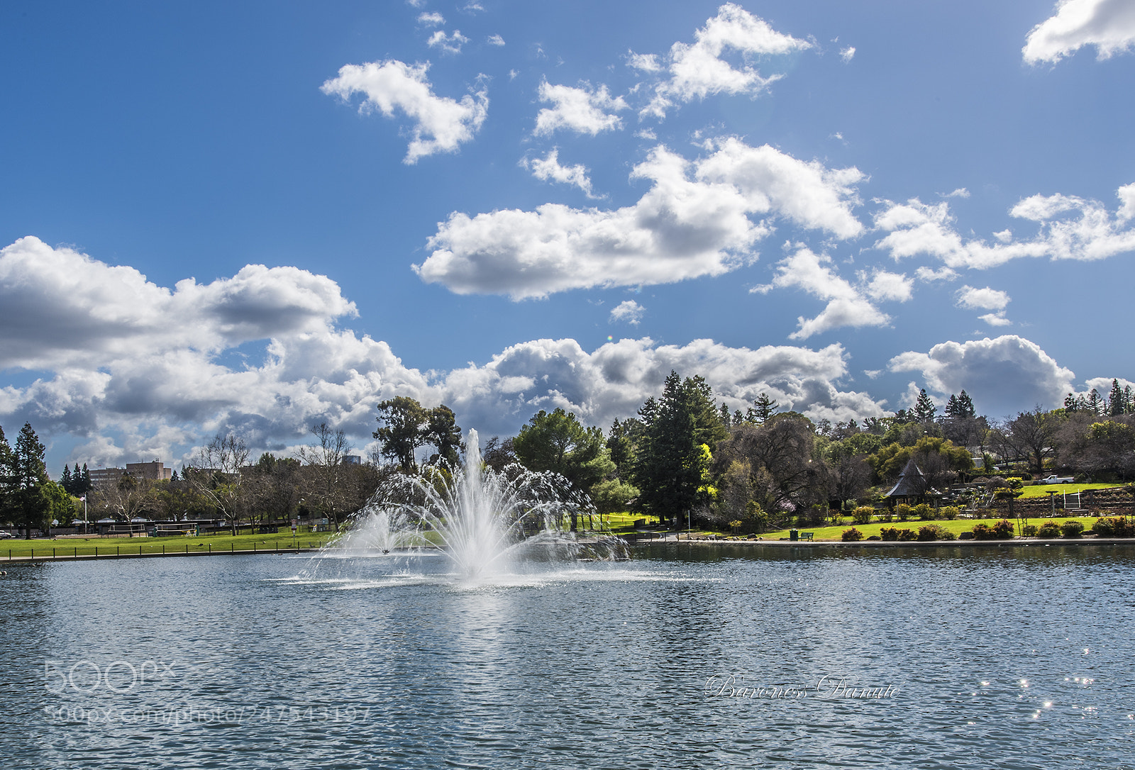 Nikon D810 sample photo. Just after the rain photography