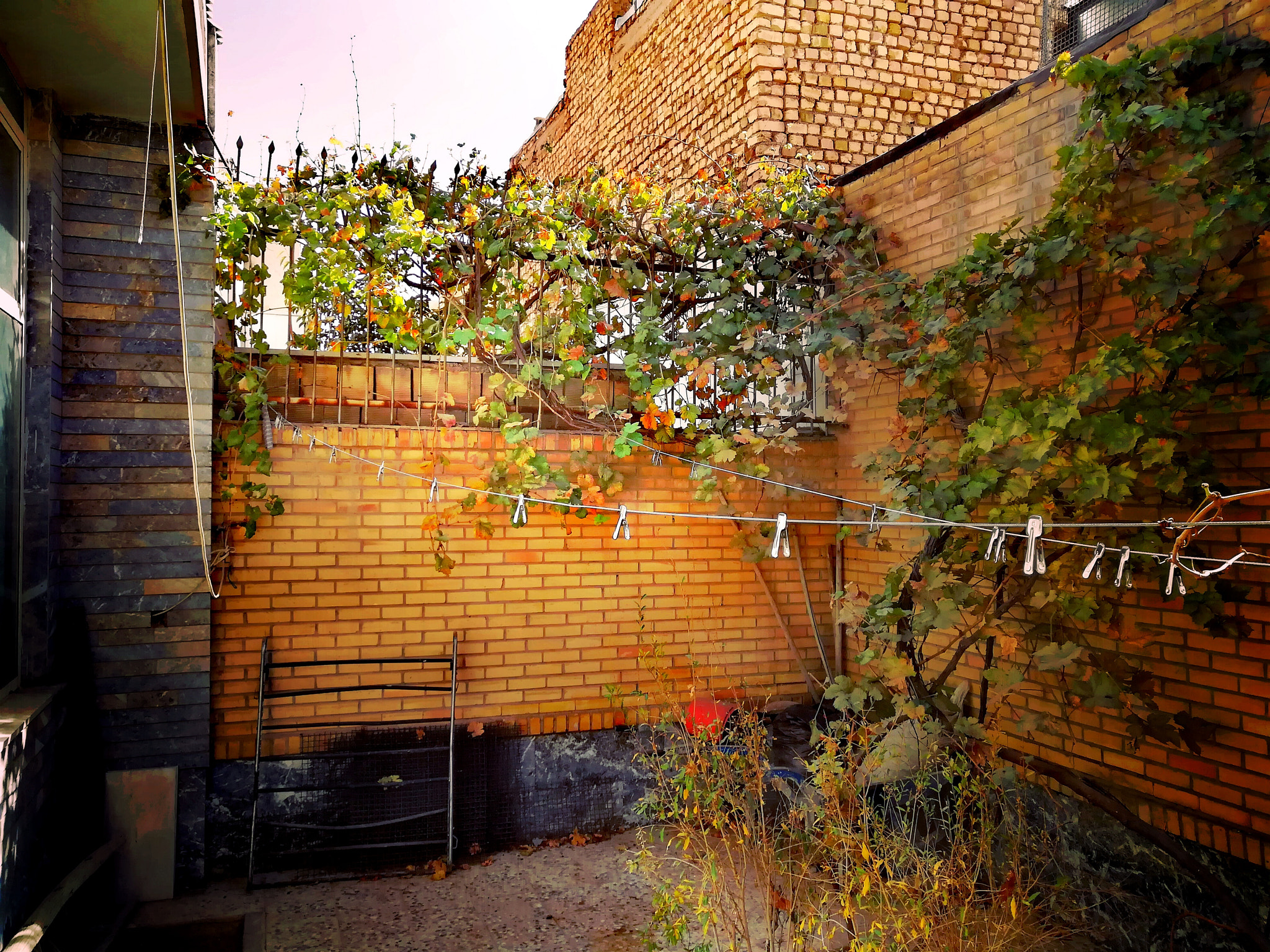 HUAWEI nova 2 Plus sample photo. A small yard in iran photography
