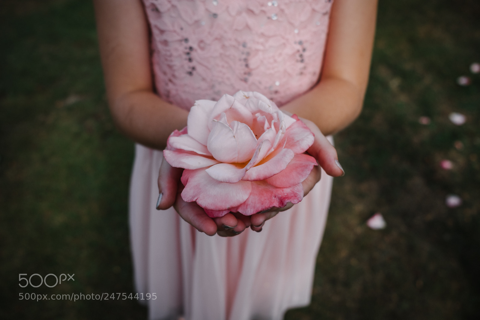 Fujifilm X-T2 sample photo. Little flower girl photography
