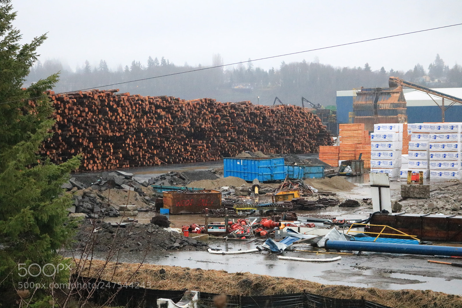 Canon EOS 750D (EOS Rebel T6i / EOS Kiss X8i) sample photo. 2018-01-23 16.17.42.jpg photography