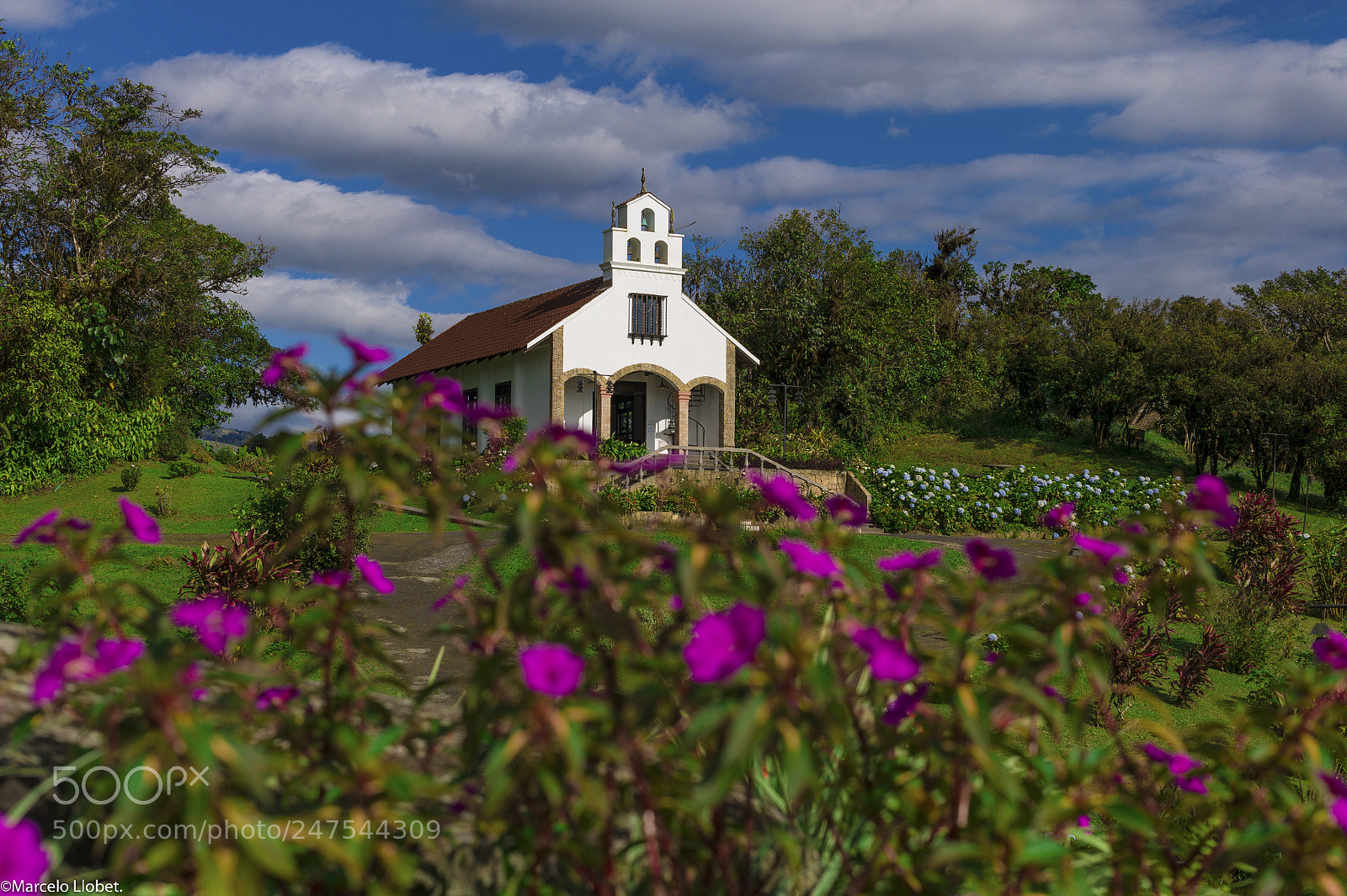 Leica M9 sample photo. Villa blanca, costa rica photography