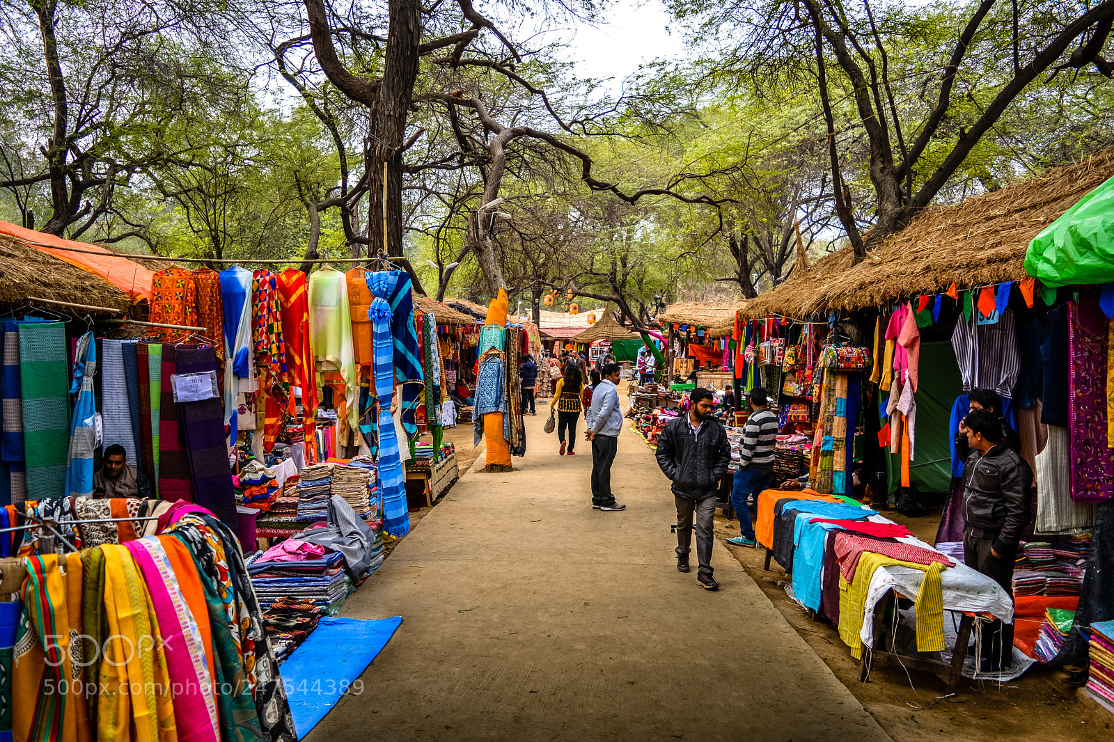 Nikon D5200 sample photo. Surajkund craft mela photography