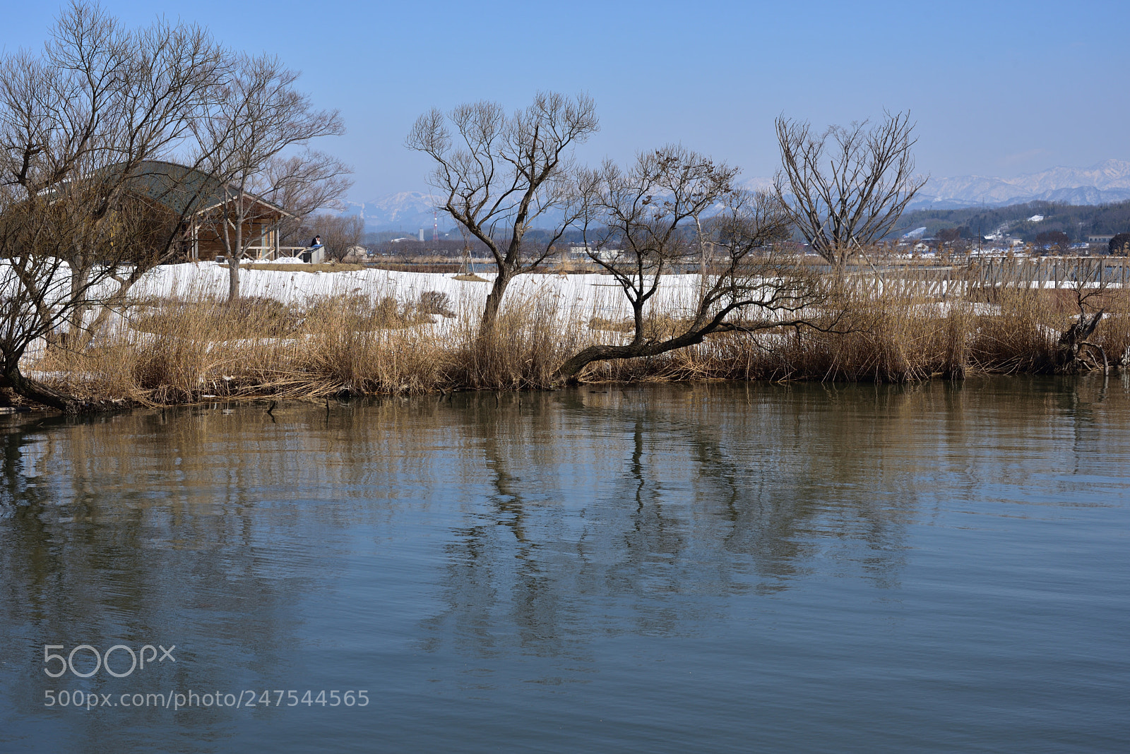 Nikon AF-S Micro-Nikkor 60mm F2.8G ED sample photo. 木場潟　小松 photography
