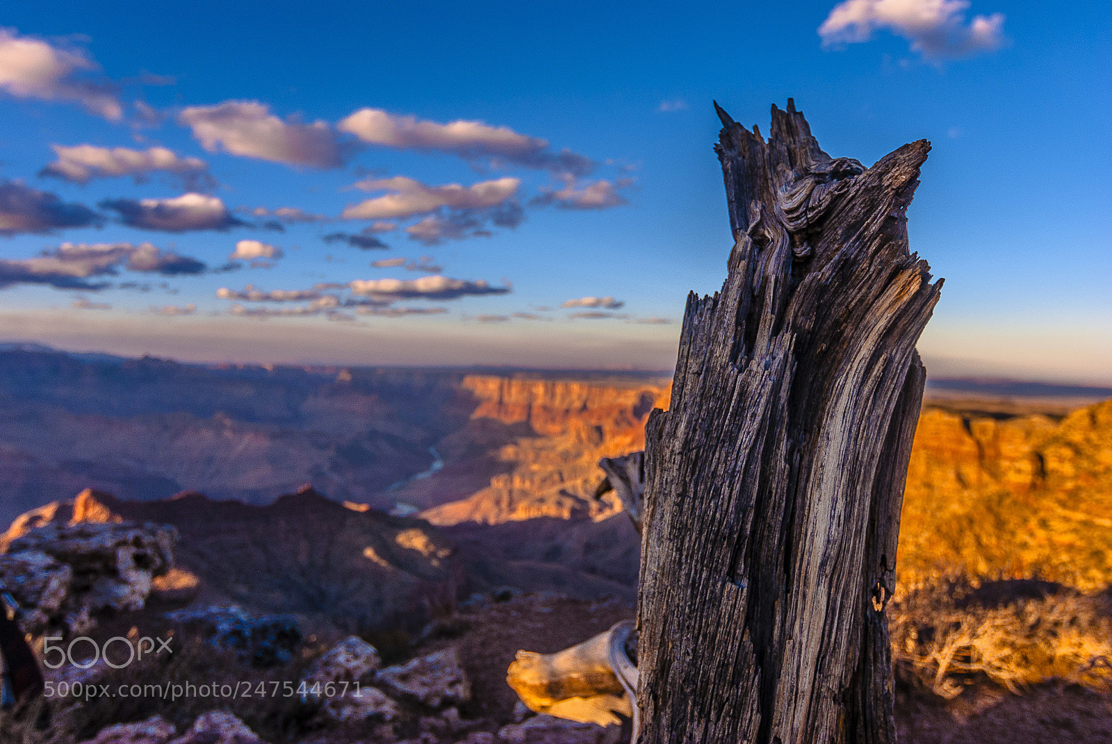 Nikon D3000 sample photo. Grand canyon photography