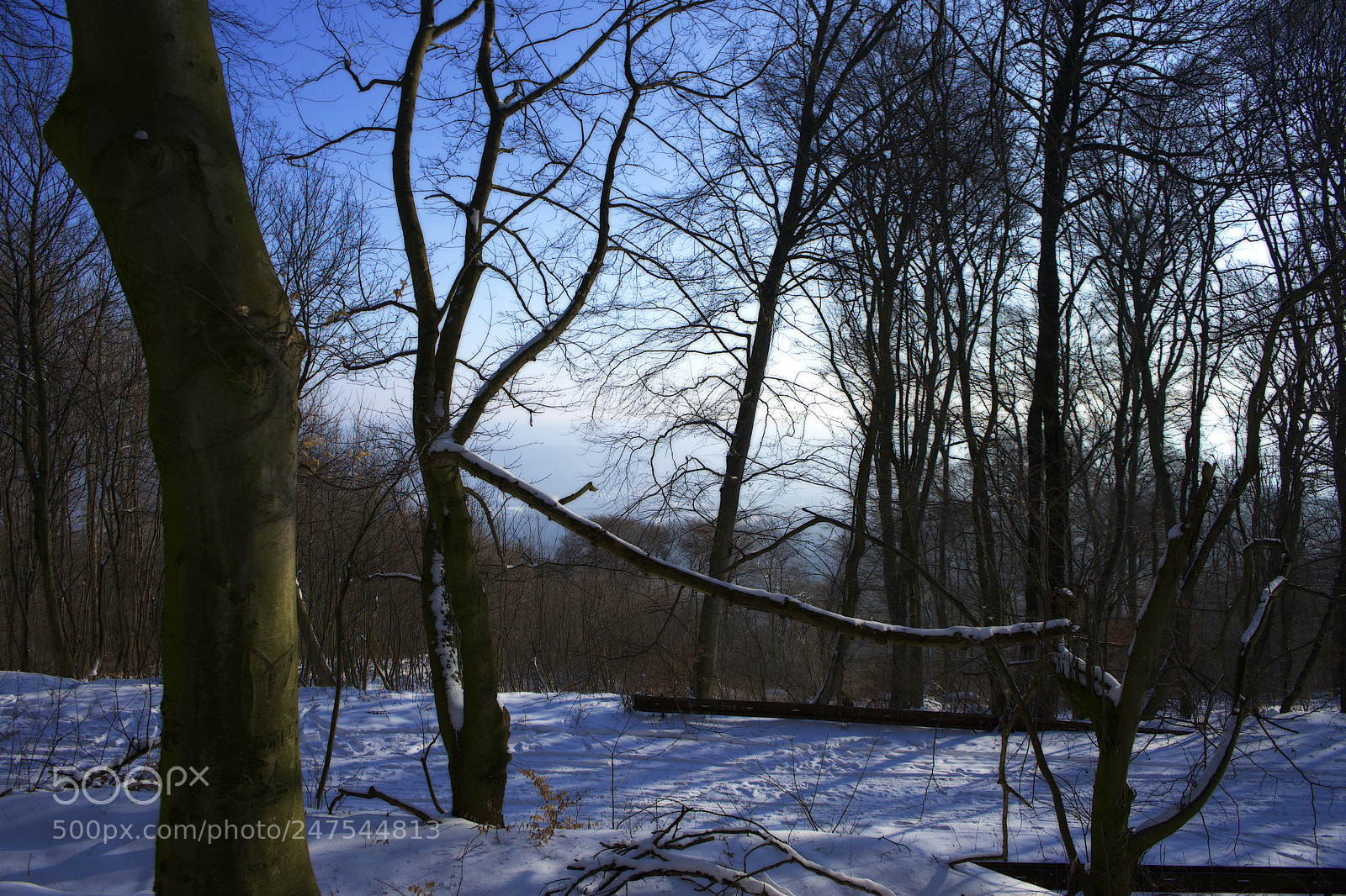 Sony a7 sample photo. Winter colour photography