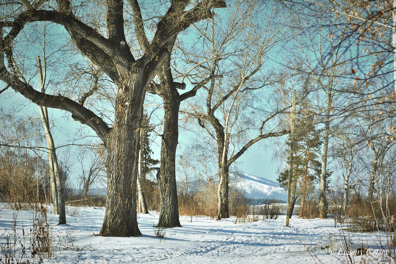 Nikon D3400 sample photo. City park photography