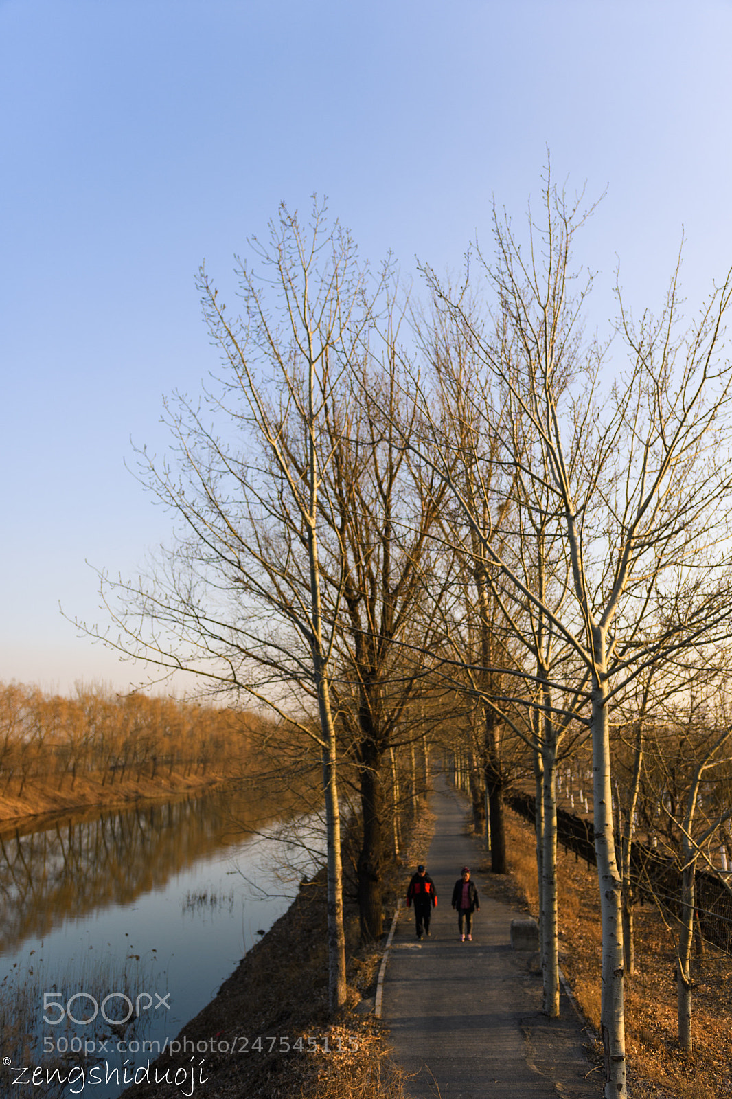 Nikon D500 sample photo. 人约黄昏后 photography