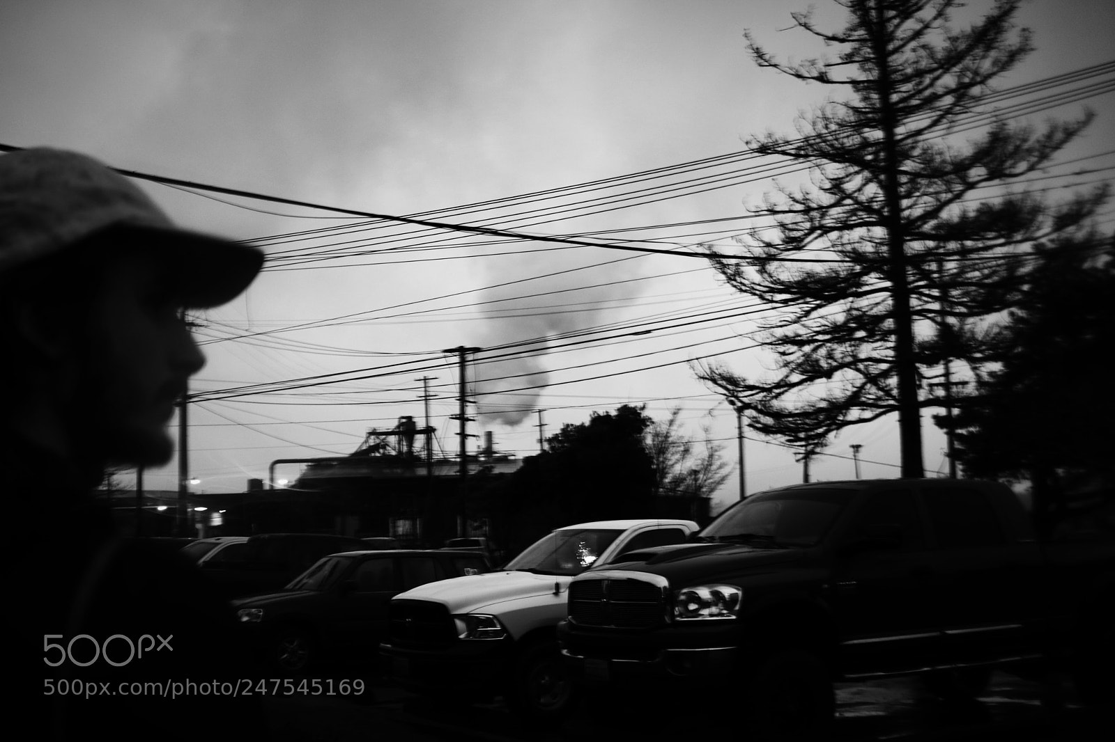 Canon EOS 750D (EOS Rebel T6i / EOS Kiss X8i) sample photo. 2018-01-23 163731.jpg photography