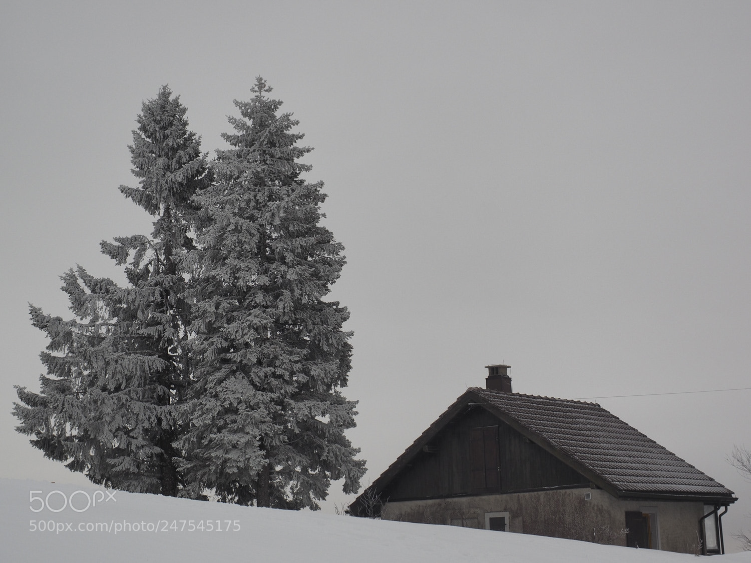 Olympus OM-D E-M1 sample photo. Winterlandschaft photography