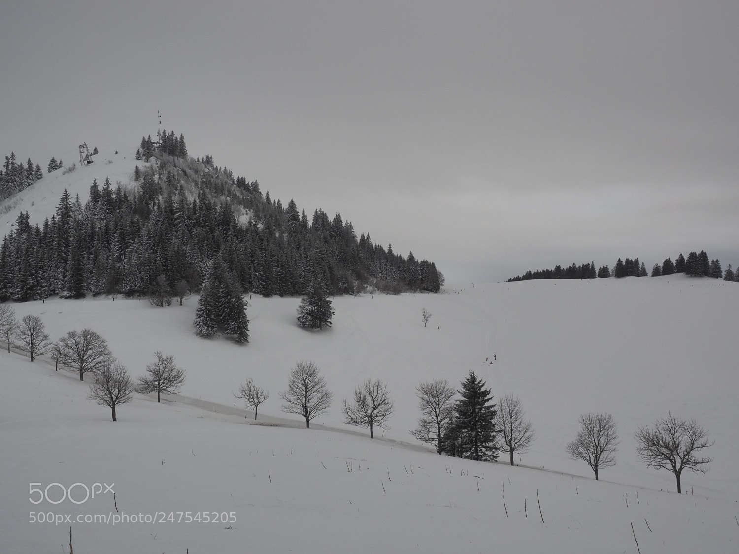 Olympus OM-D E-M1 sample photo. Winterlandschaft photography