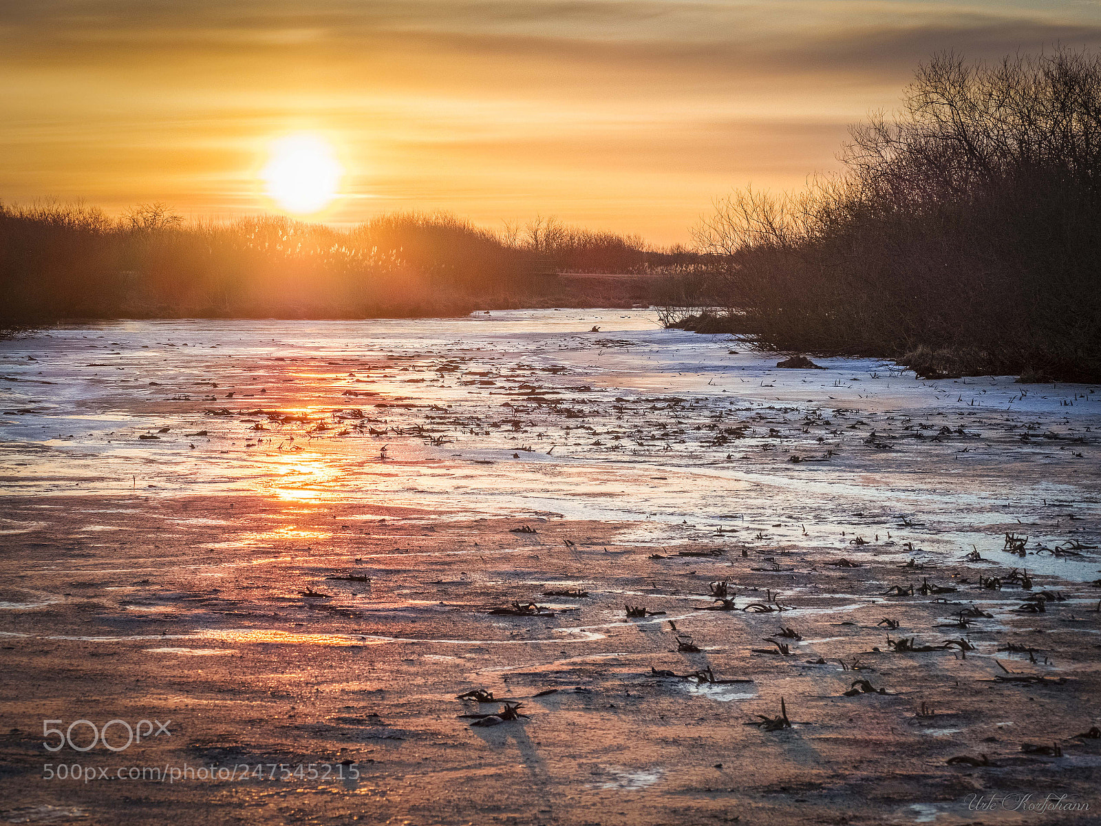 Olympus OM-D E-M1 Mark II sample photo. Sunrise at teufelsmoor brandgraben photography