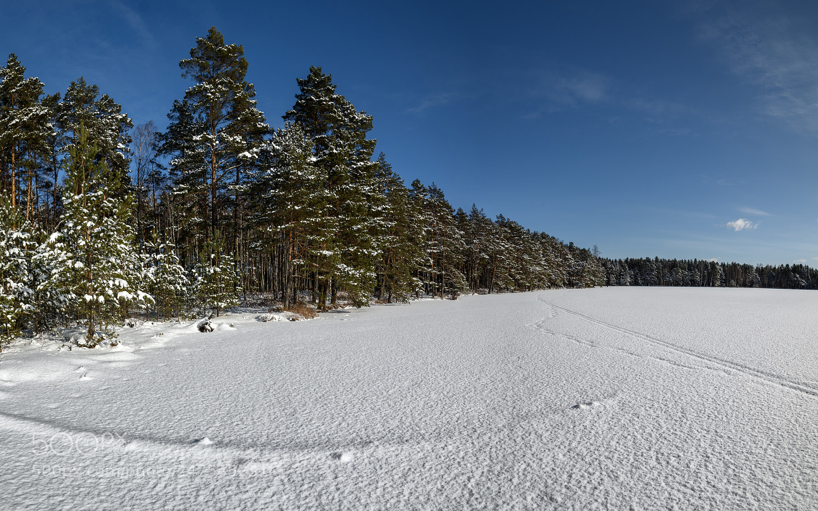 Nikon D810 sample photo. Winter landskape - at photography
