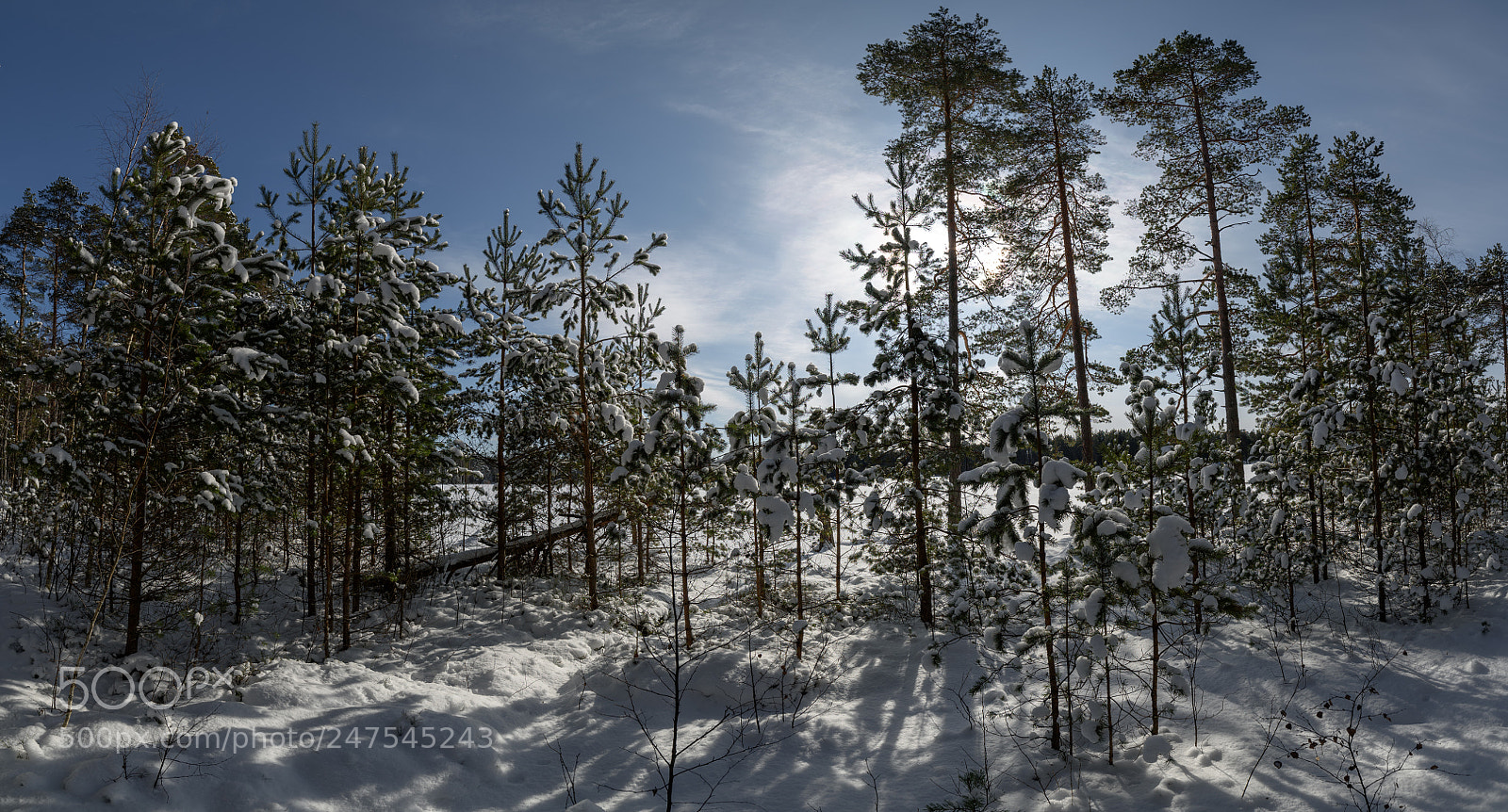 Nikon D810 sample photo. Winter landskape - at photography