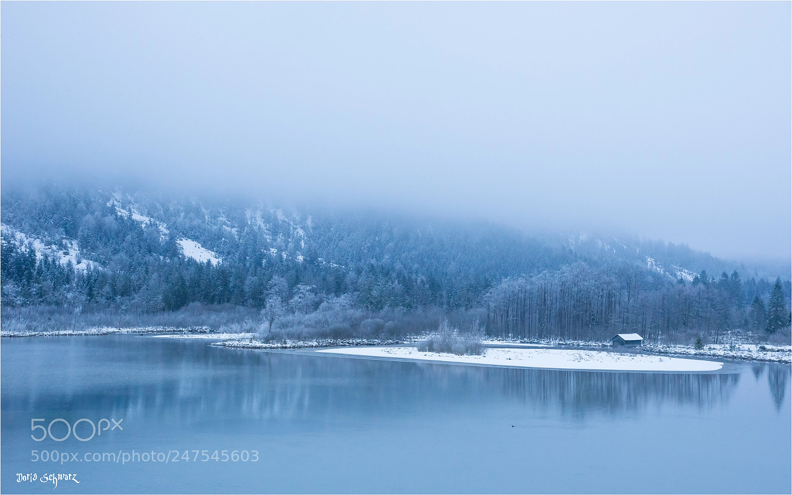 Nikon D610 sample photo. Almsee photography