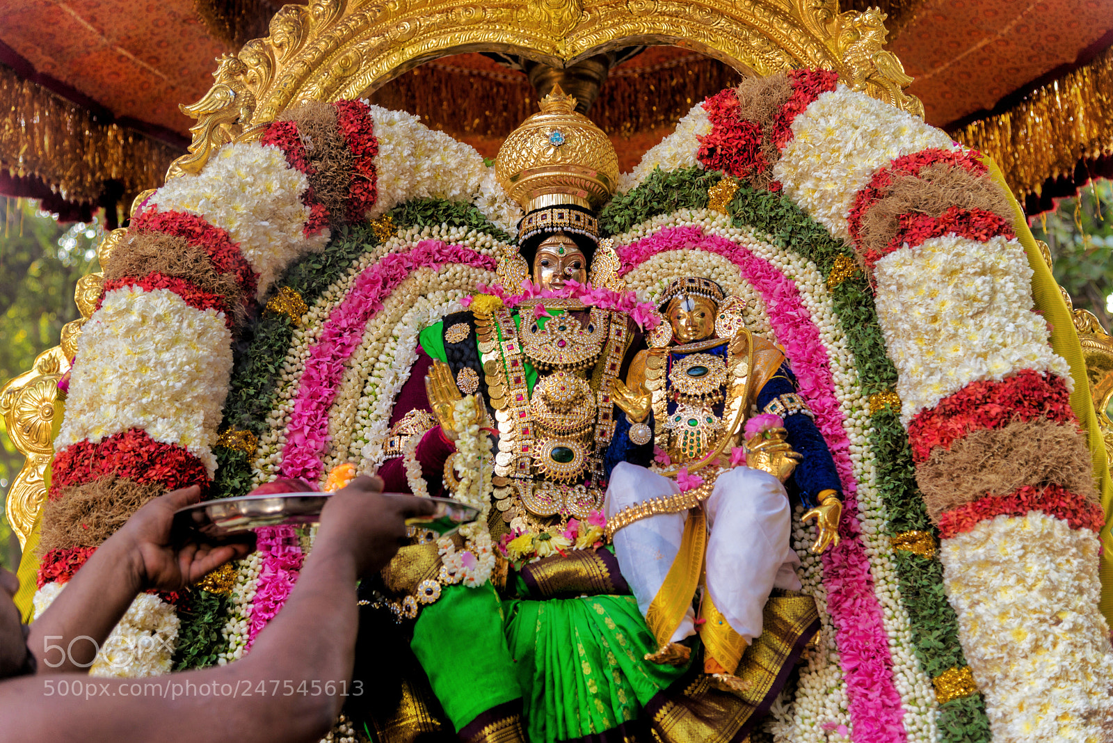 Nikon D610 sample photo. Brahmotsavam 2018 photography