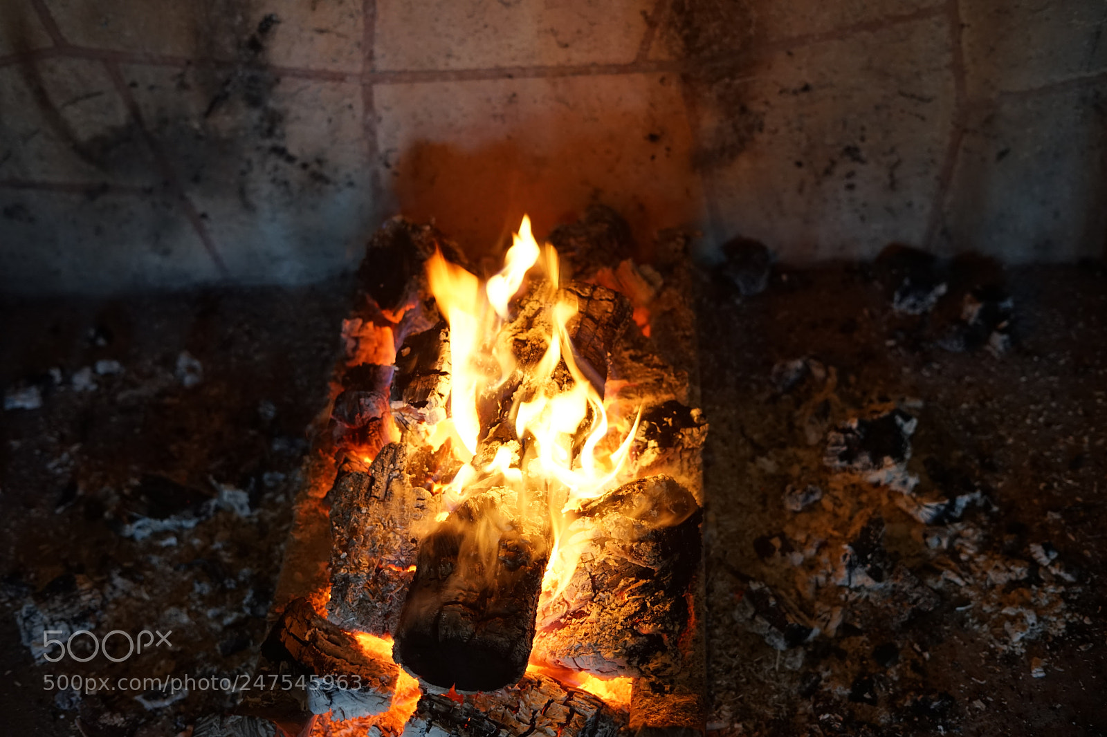 Sony a7 II sample photo. Untitled photography