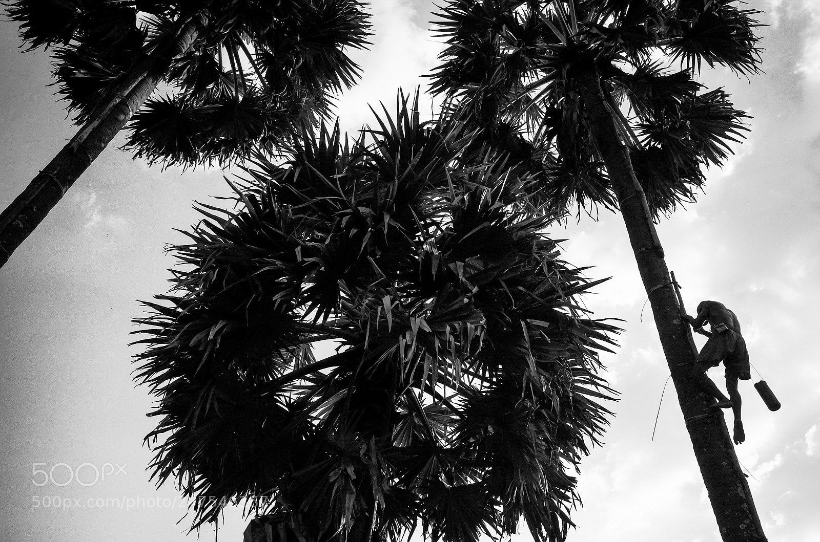 Ricoh GR II sample photo. Kampot, cambodia photography
