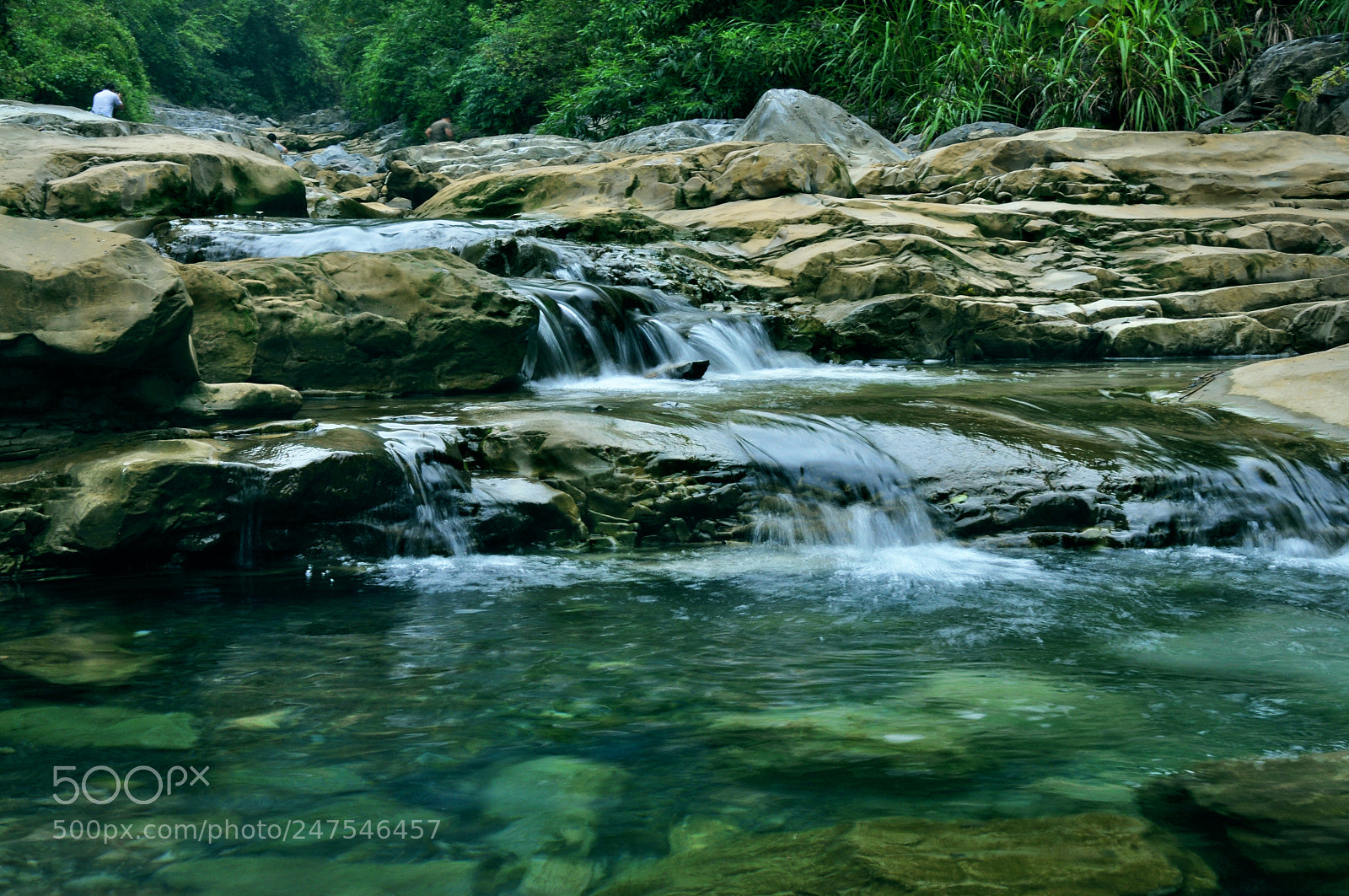 Nikon D5000 sample photo. Untitled photography