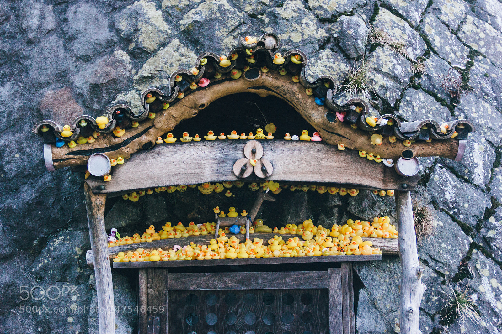 Canon EOS 60D sample photo. Rubber ducks photography