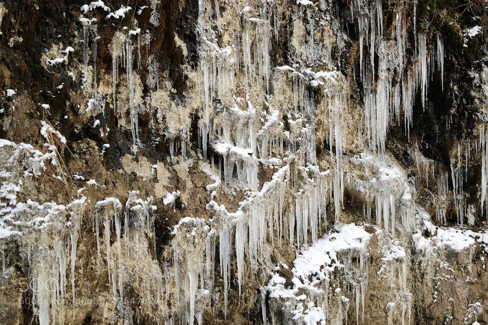Canon EOS 7D Mark II sample photo. Frozen photography