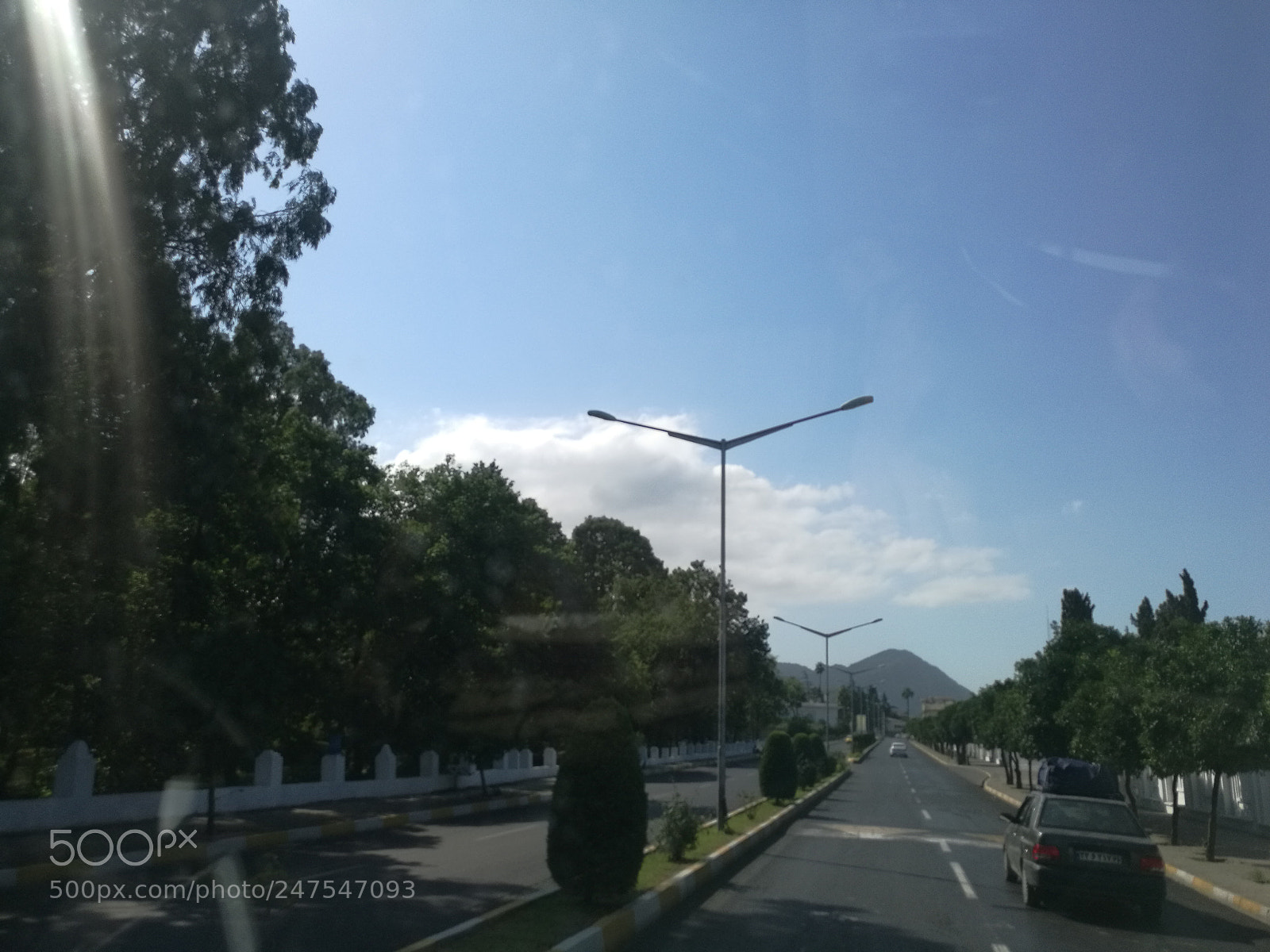HUAWEI Mate 8 sample photo. Green photography