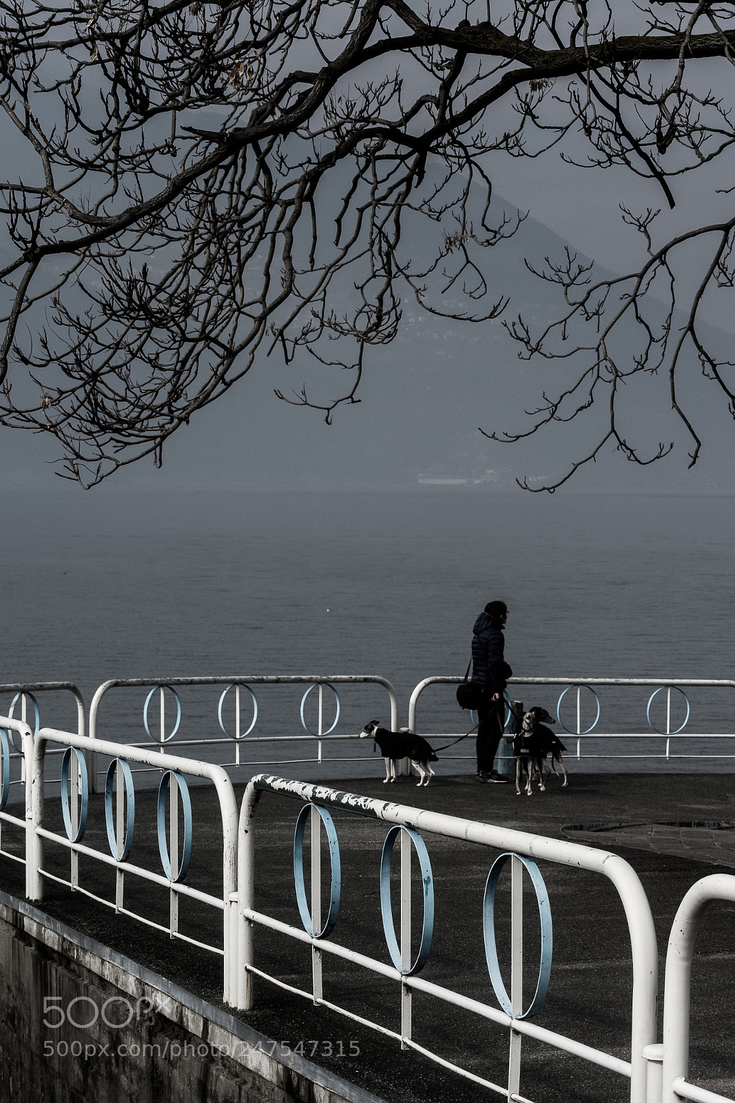 Nikon 1 J5 sample photo. Iseo lake_05 photography
