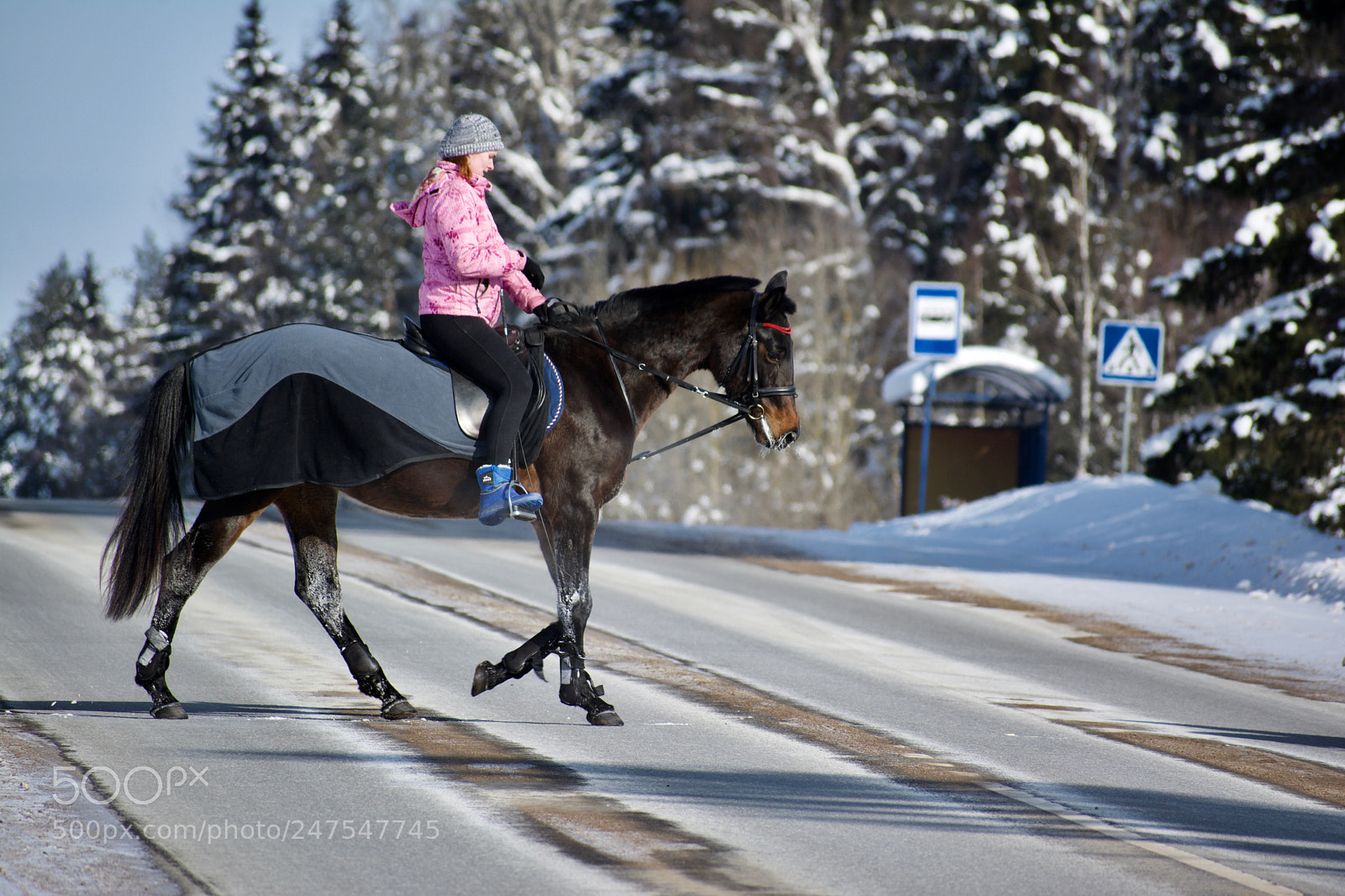Nikon D7100 sample photo. Horse riding in the photography