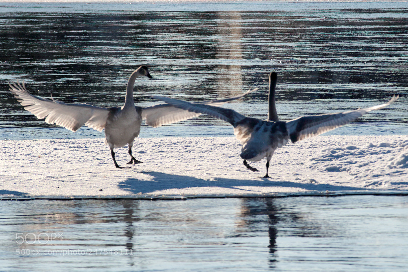 Canon EOS 7D Mark II sample photo. A photography