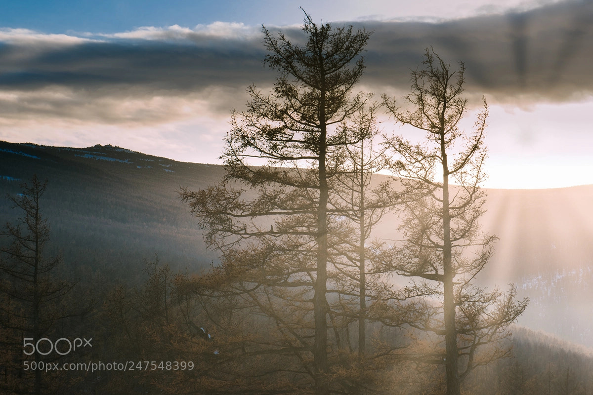 Nikon D800 sample photo. Tsetsee gun. bogd khan photography