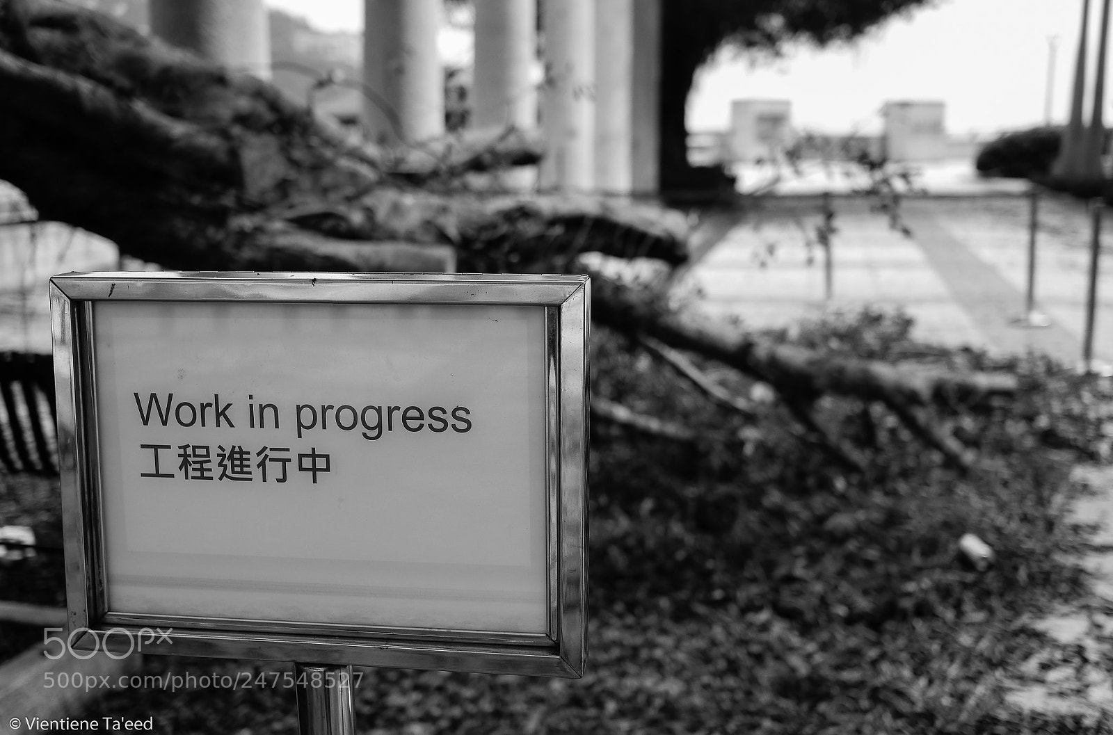 Panasonic Lumix DMC-G5 sample photo. Apparently photography
