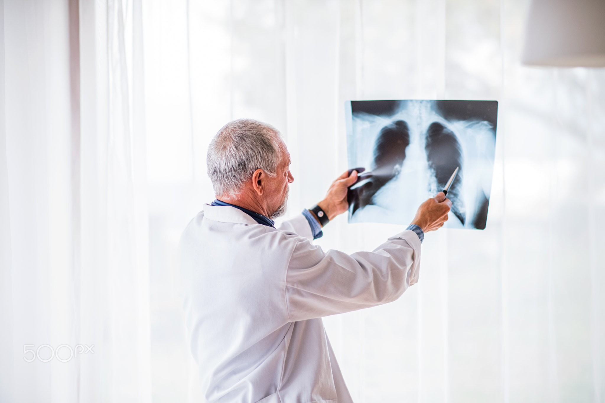 Senior doctor looking at chest x-ray in office.