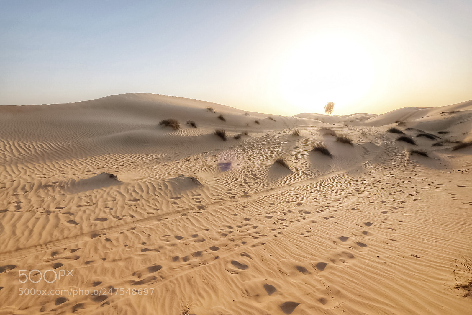 Fujifilm X-T2 sample photo. Footsteps into the sunset..... photography