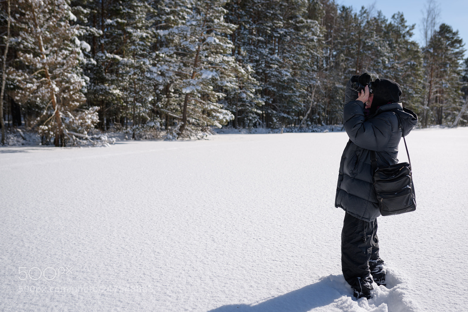 Nikon D810 sample photo. Best friend on winter photography
