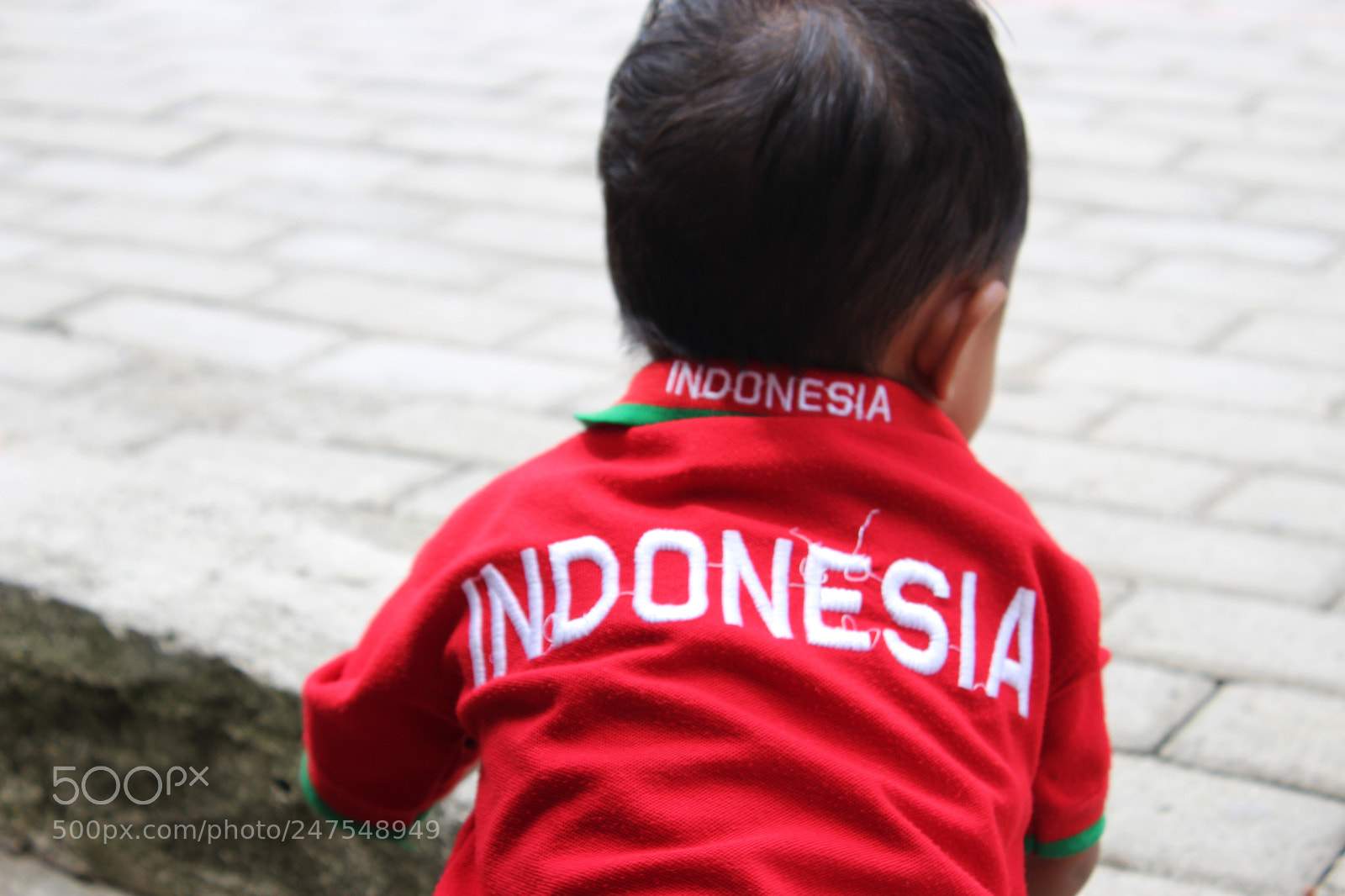 Canon EOS 1200D (EOS Rebel T5 / EOS Kiss X70 / EOS Hi) sample photo. Indonesia tanah air beta photography