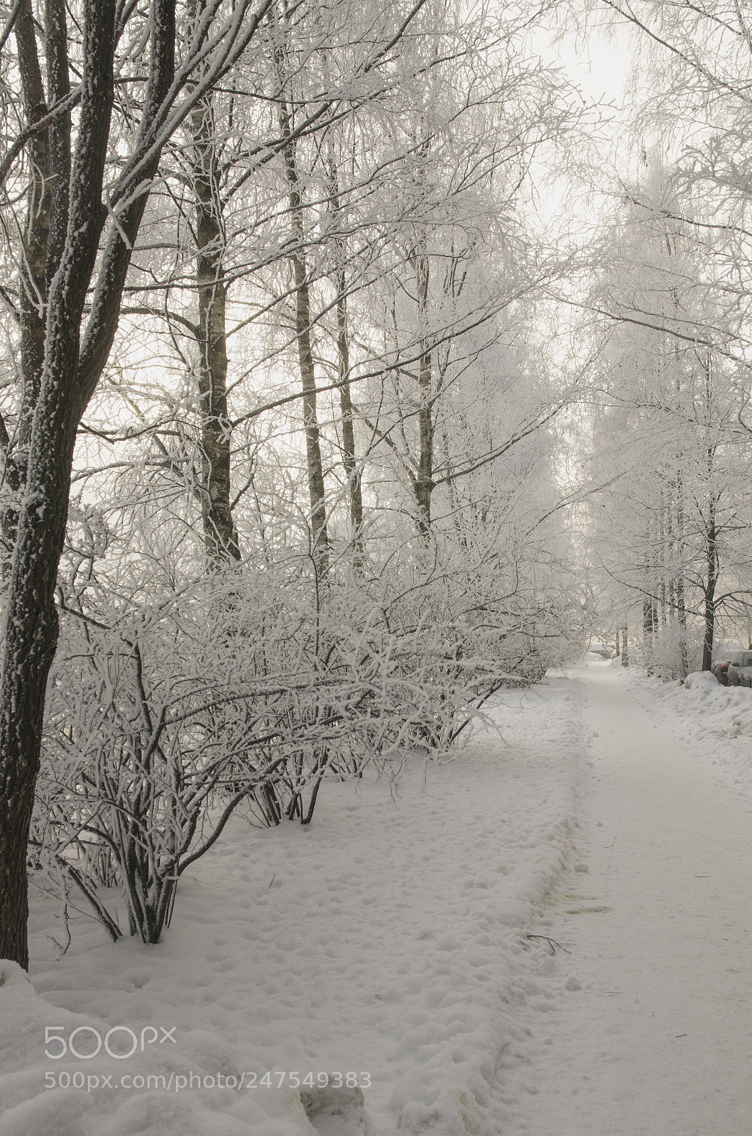 Pentax K-5 sample photo. Winter photography