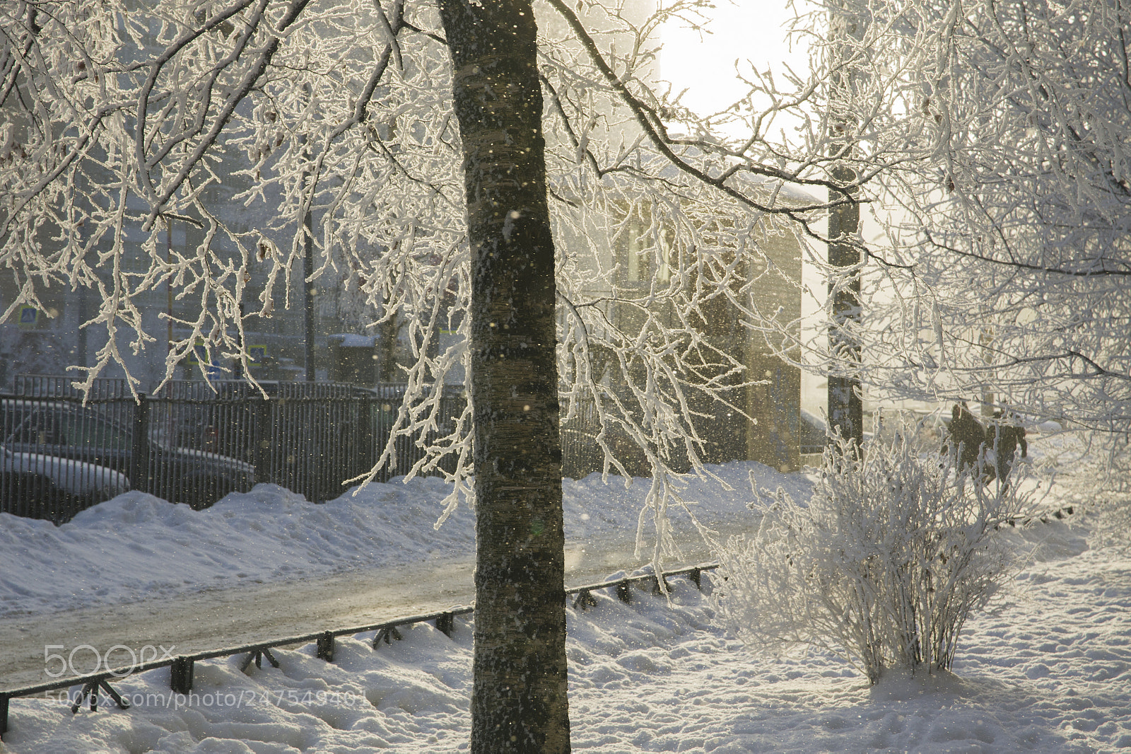 Pentax K-5 sample photo. Winter photography