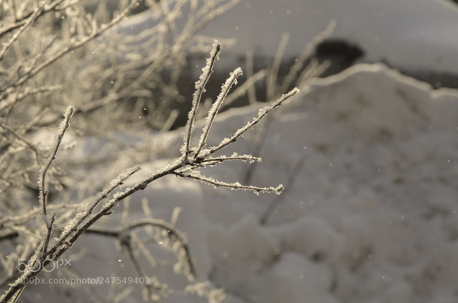 Pentax K-5 sample photo. Winter photography