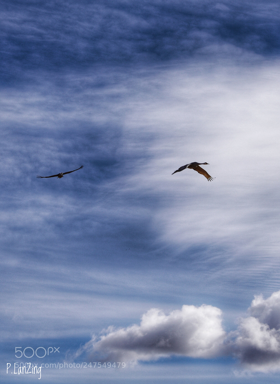 Nikon D810 sample photo. High fliers photography