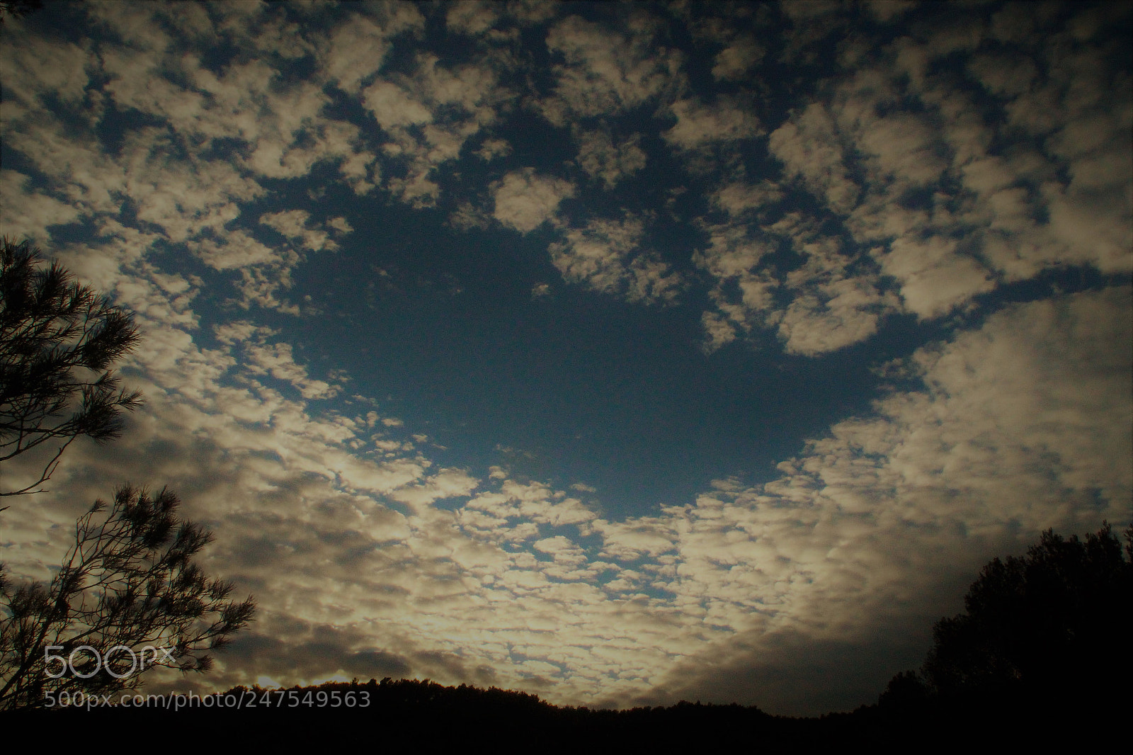 Canon EOS 700D (EOS Rebel T5i / EOS Kiss X7i) sample photo. Heart photography