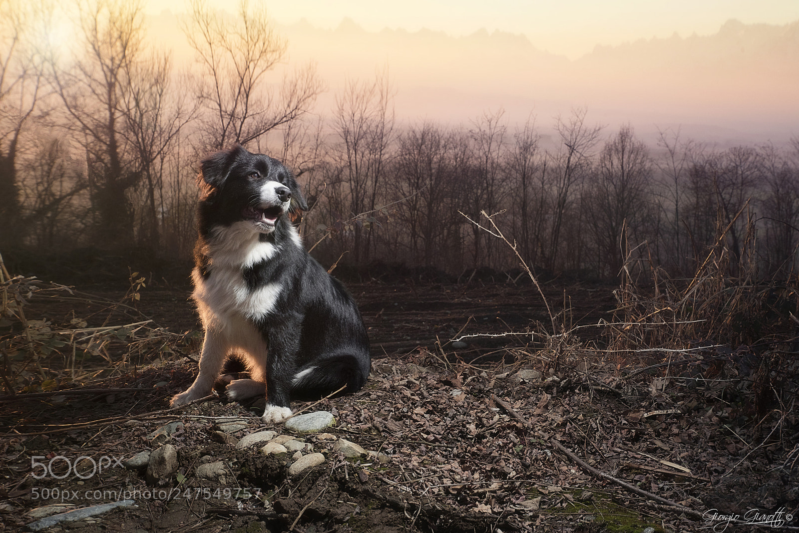 Nikon D810 sample photo. 28205097249.jpg photography