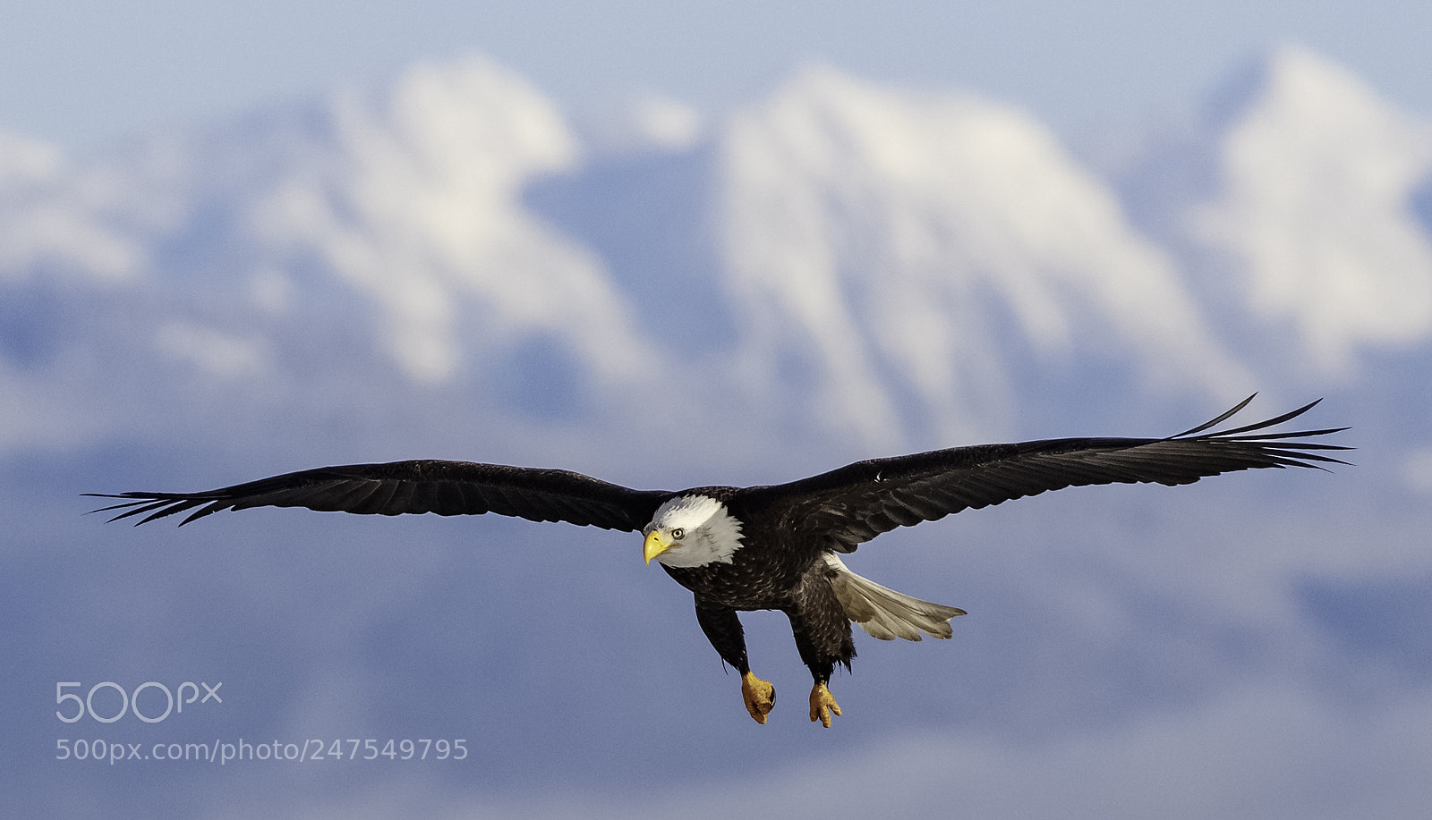 Canon EOS 5DS R sample photo. Wings and mountains photography