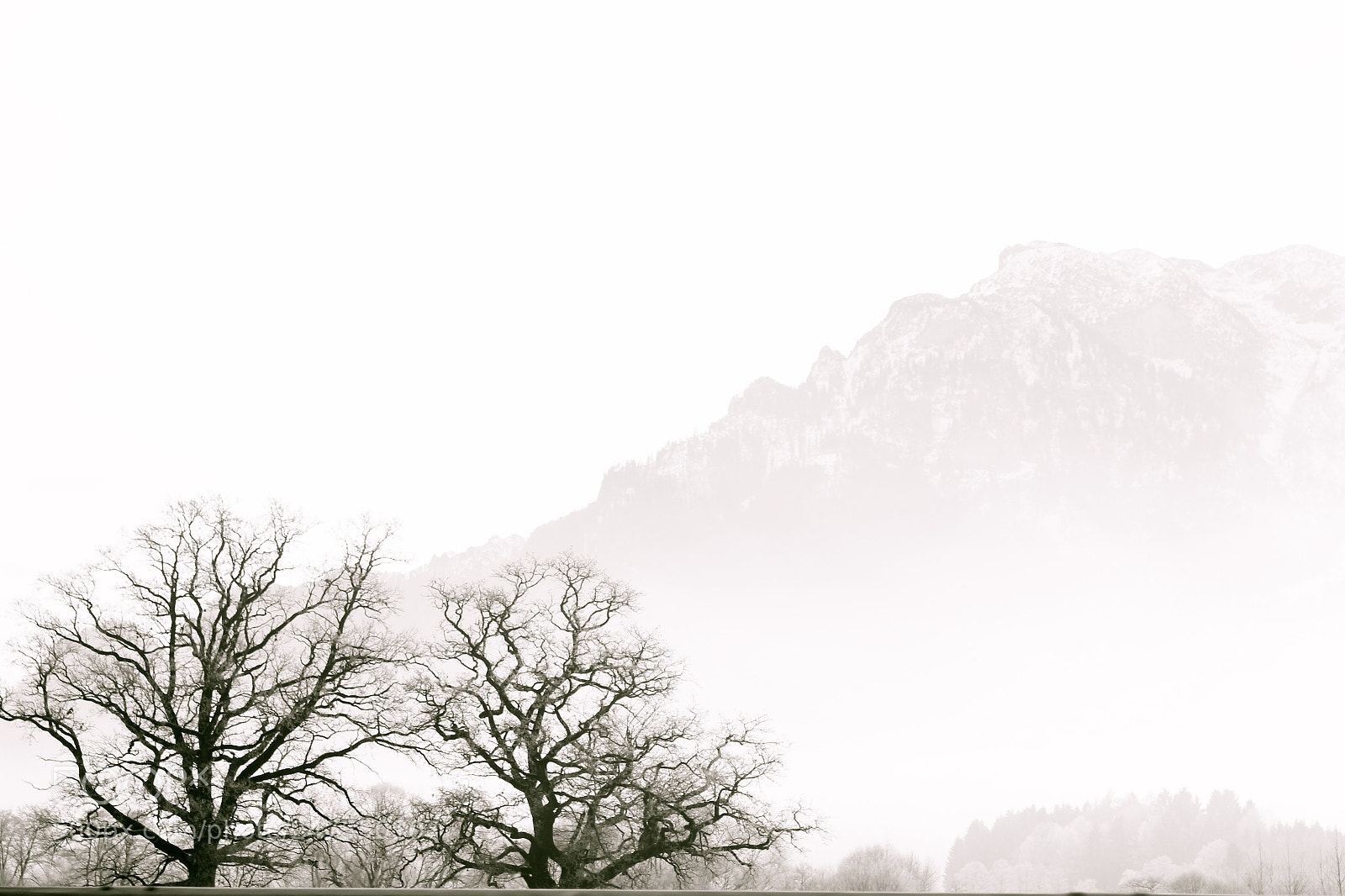 Canon EOS 100D (EOS Rebel SL1 / EOS Kiss X7) sample photo. Zundert photography