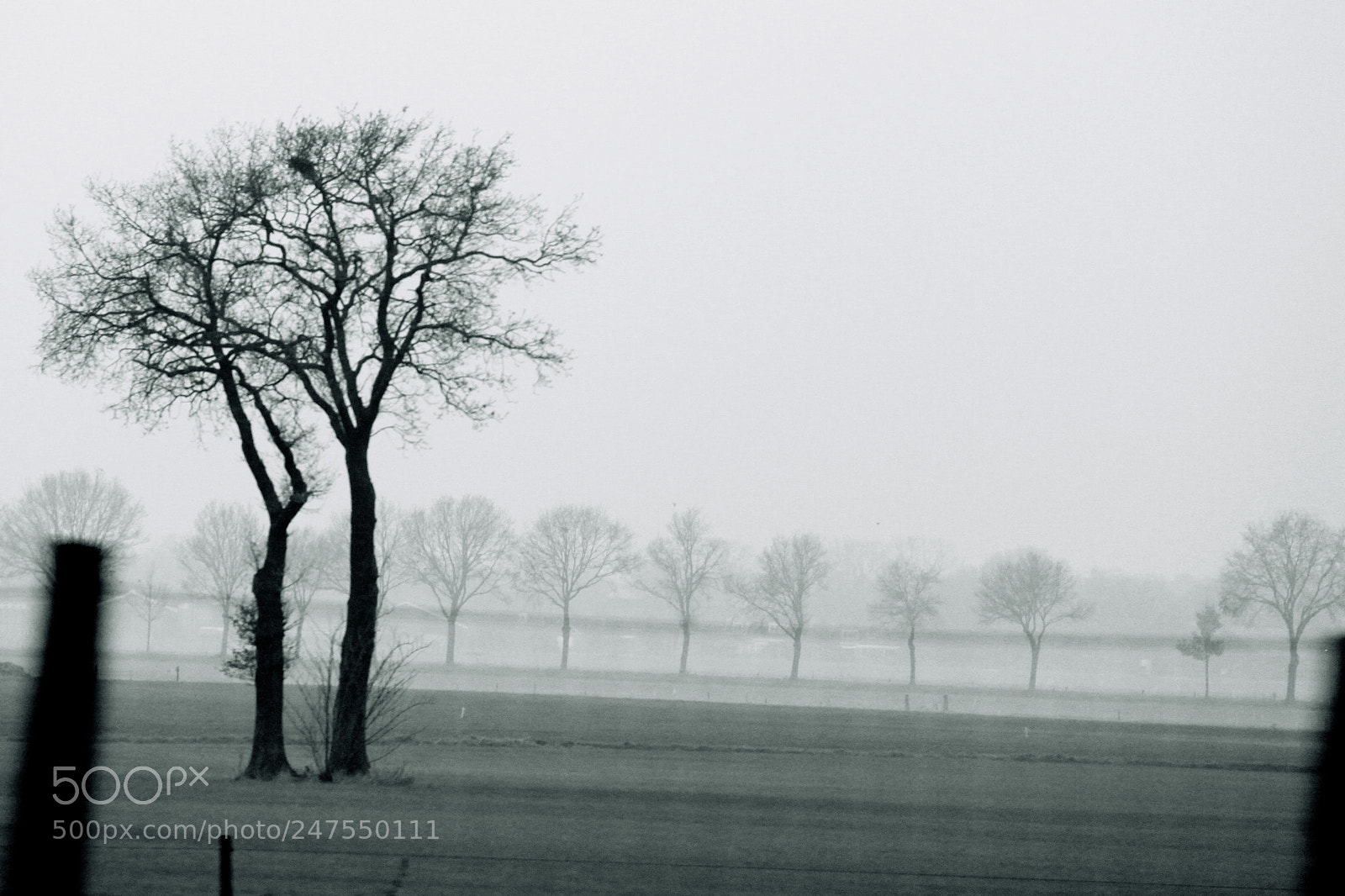 Canon EOS 50D sample photo. Zundert photography