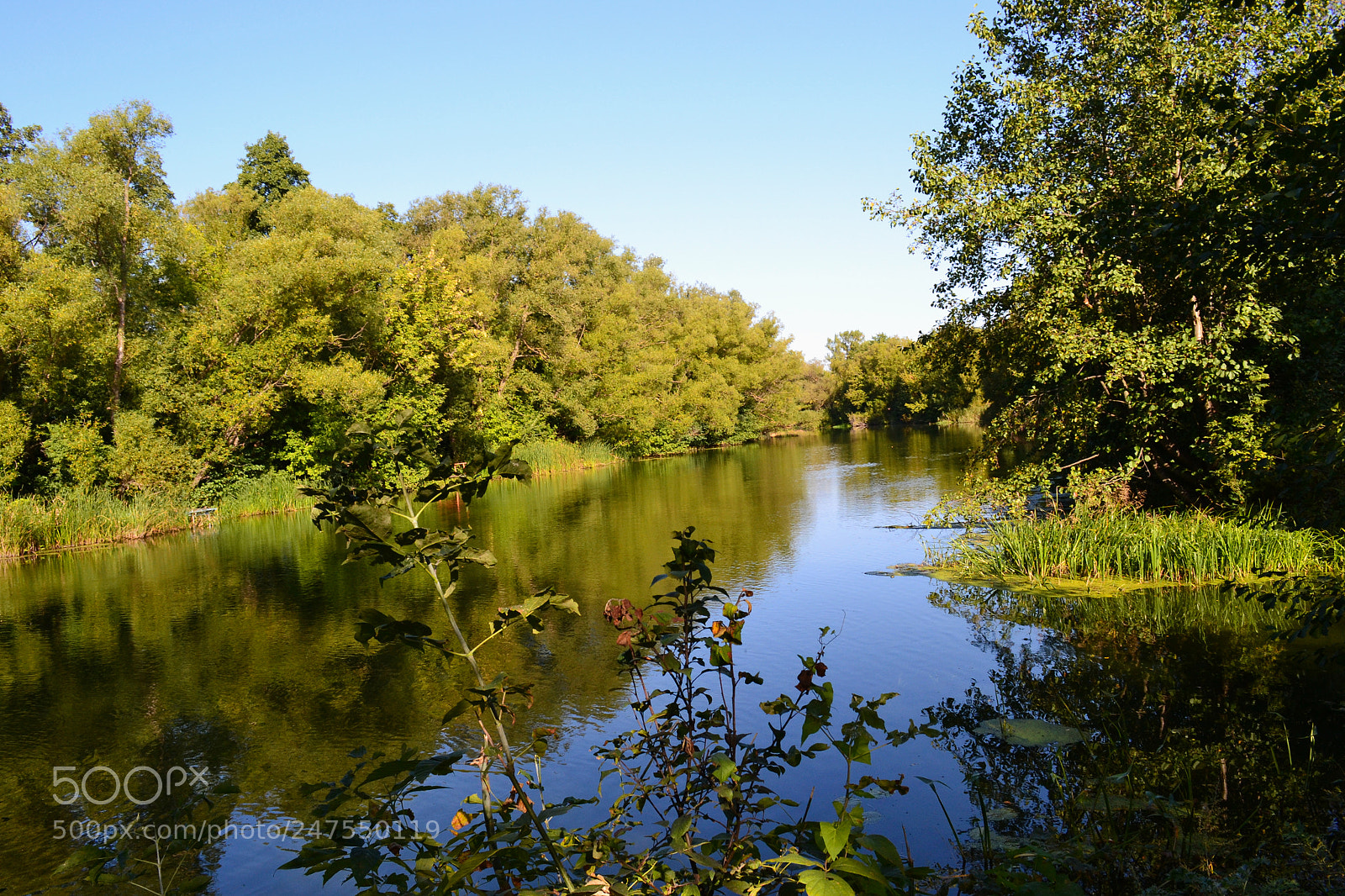 Nikon D3100 sample photo. Reflection. photography